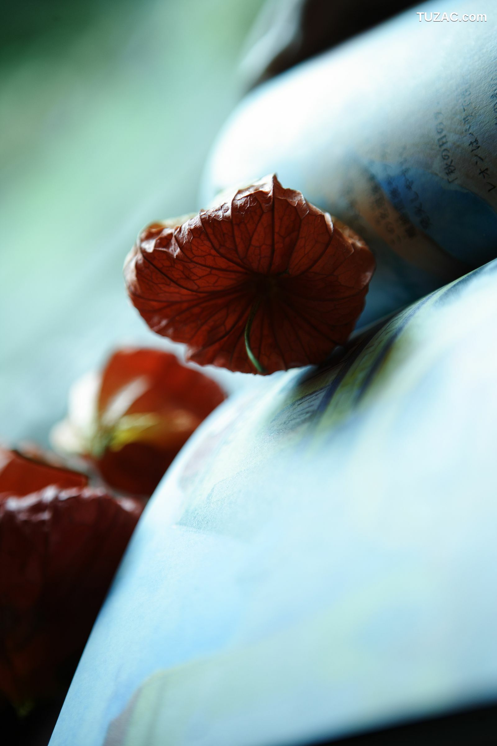 NS Eyes_ SF-No.399 Nene 寧寧 写真集[108P]