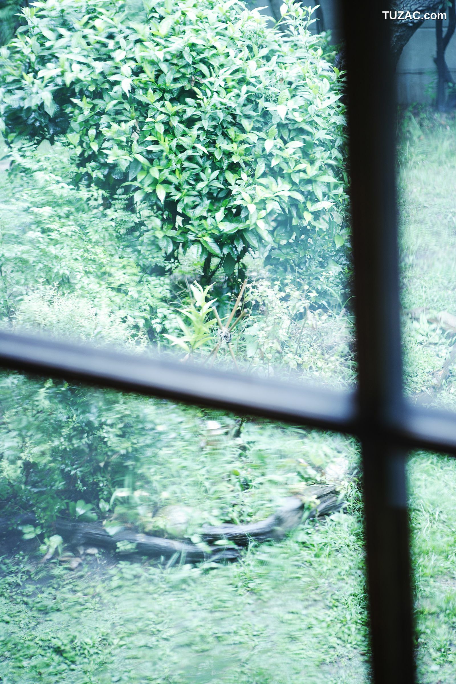 NS Eyes_ SF-No.399 Nene 寧寧 写真集[108P]