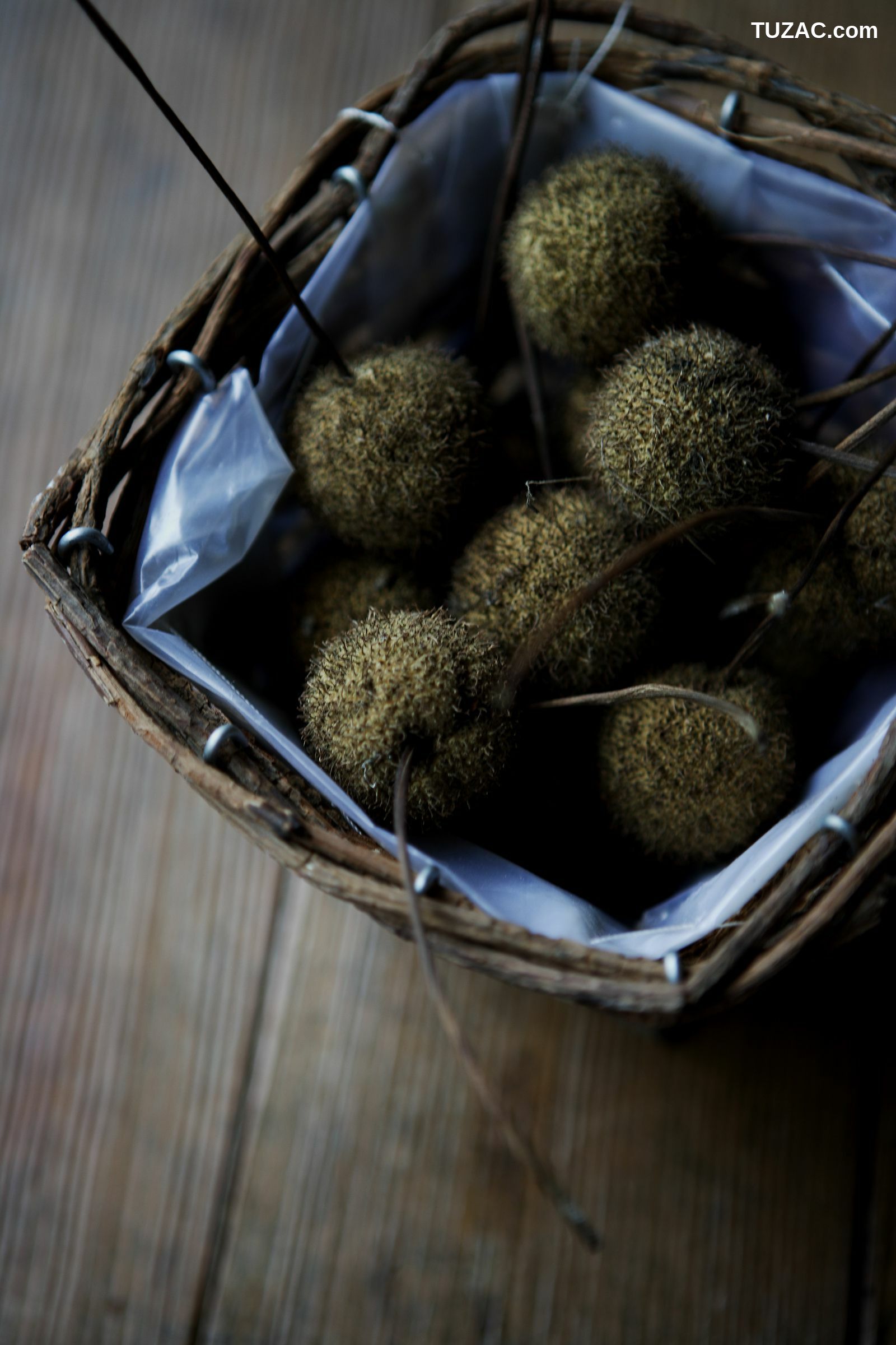 NS Eyes_ SF-No.399 Nene 寧寧 写真集[108P]