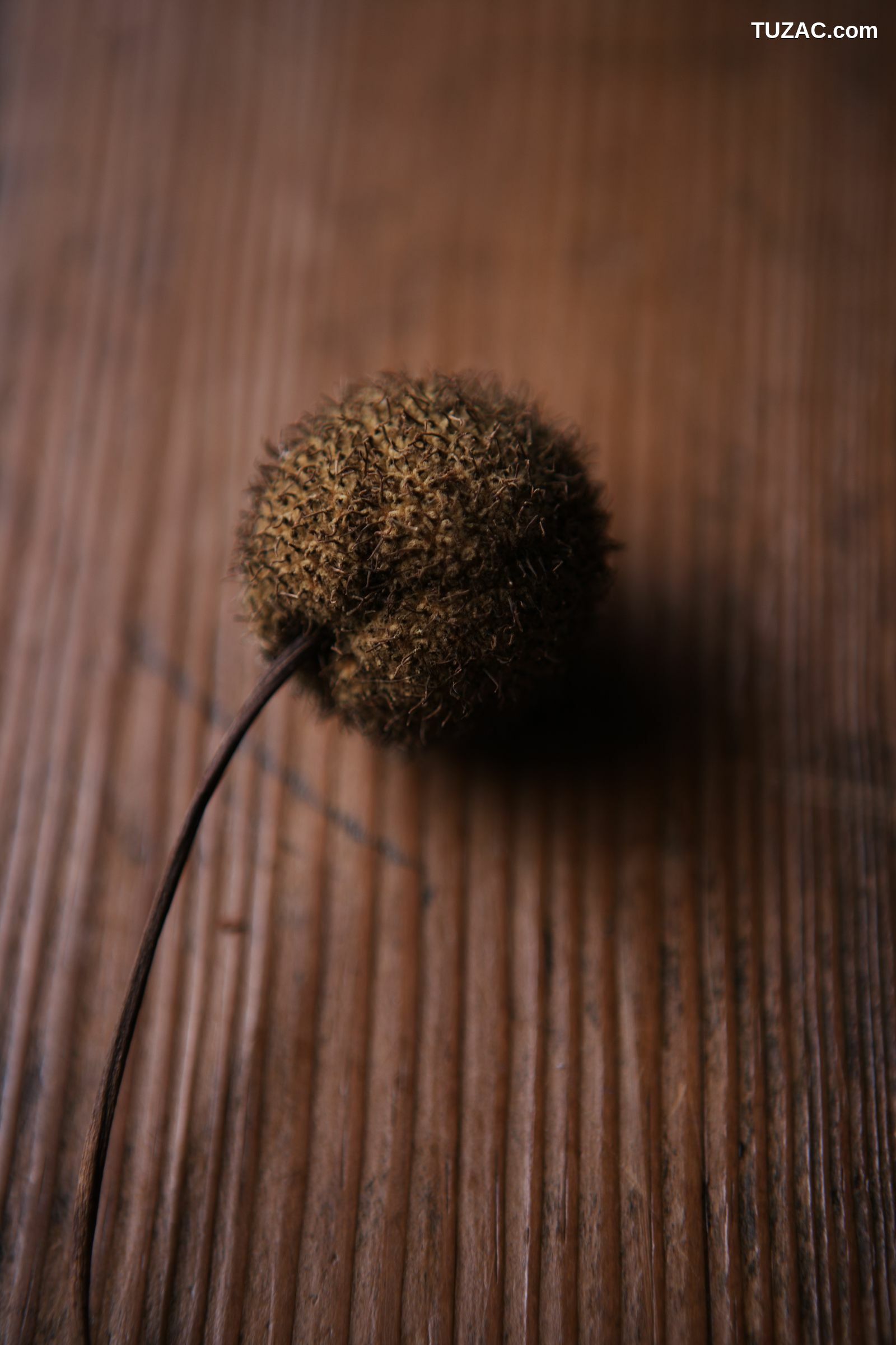 NS Eyes_ SF-No.399 Nene 寧寧 写真集[108P]