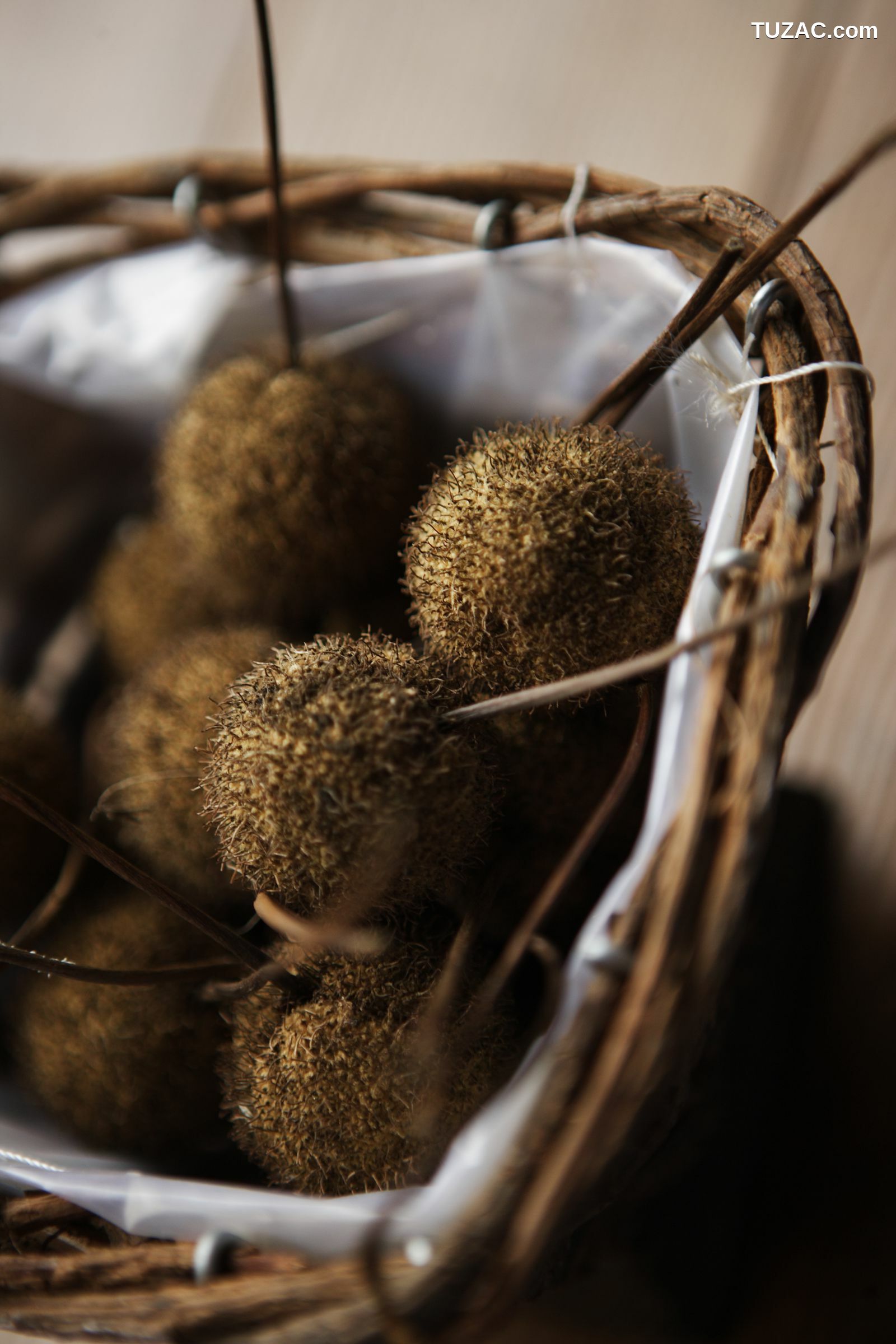 NS Eyes_ SF-No.399 Nene 寧寧 写真集[108P]