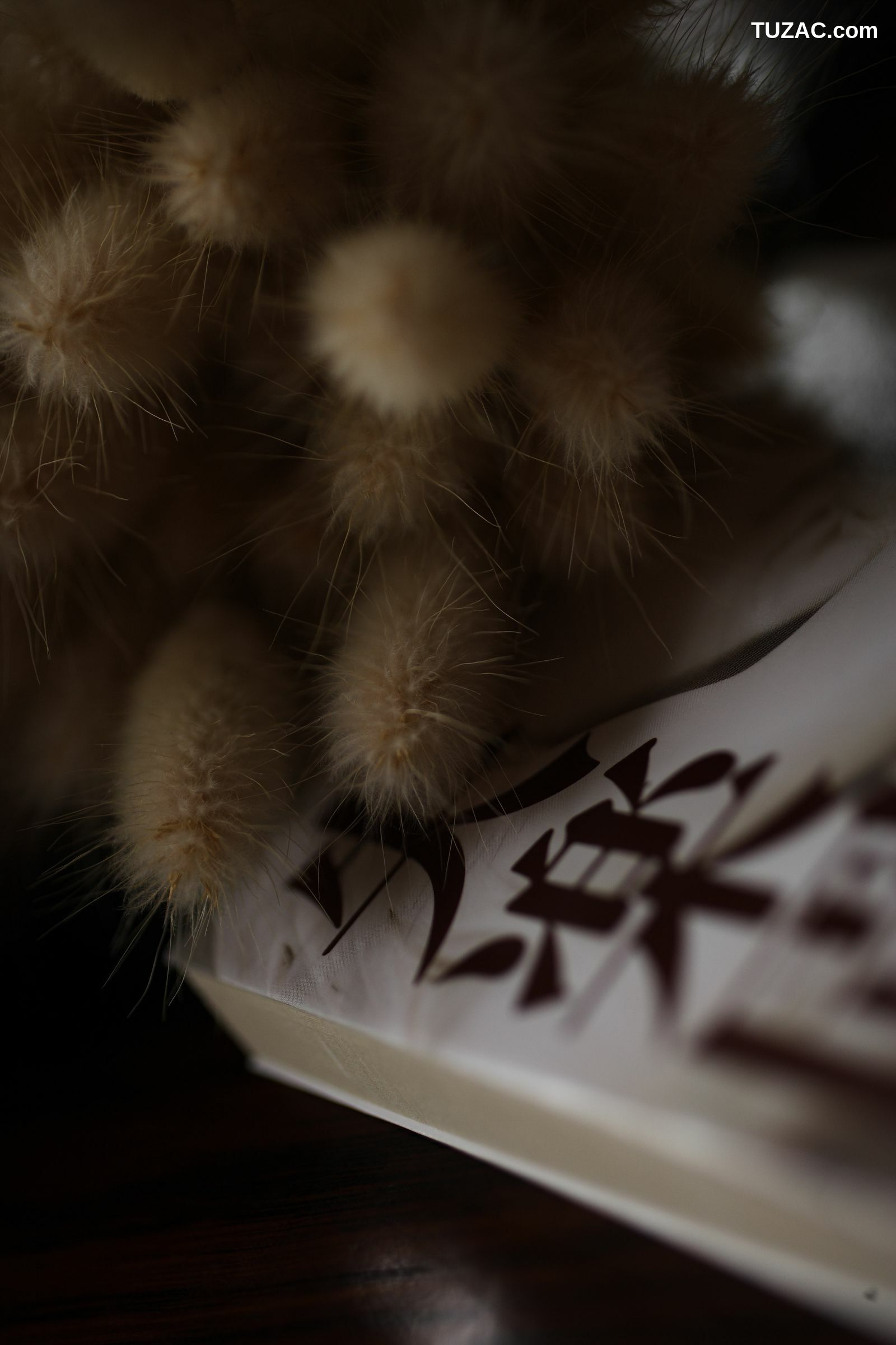 NS Eyes_ SF-No.399 Nene 寧寧 写真集[108P]