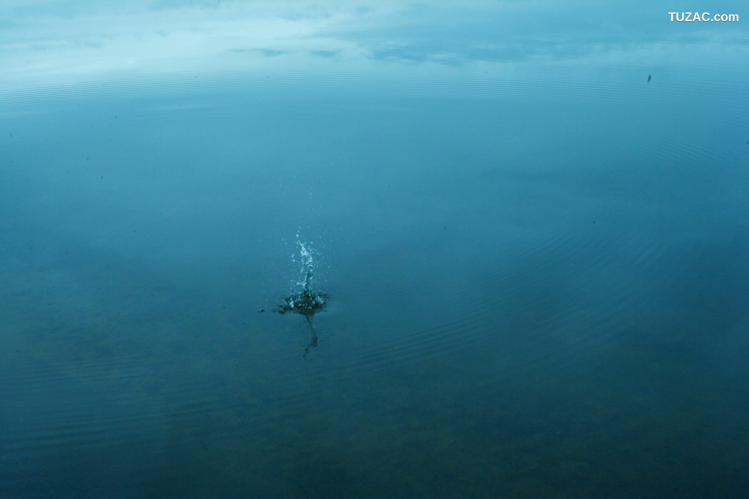 NS Eyes_ SF-No.417 Aki Hoshino ほしのあき/星野亜希 写真集[58P]