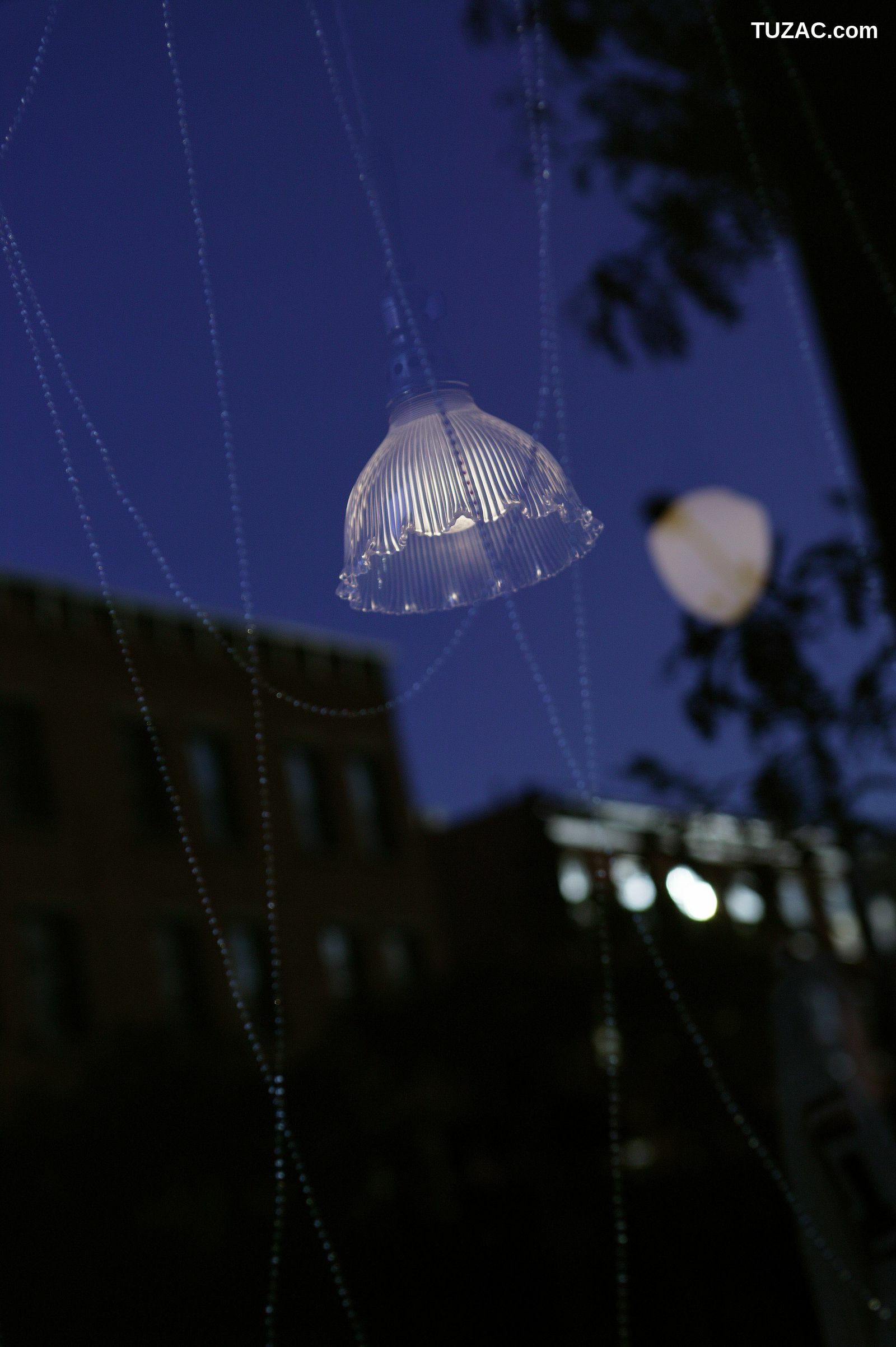 NS Eyes_ SF-No.418 Sachiko Suzuki 铃木早智子 写真集[40P]