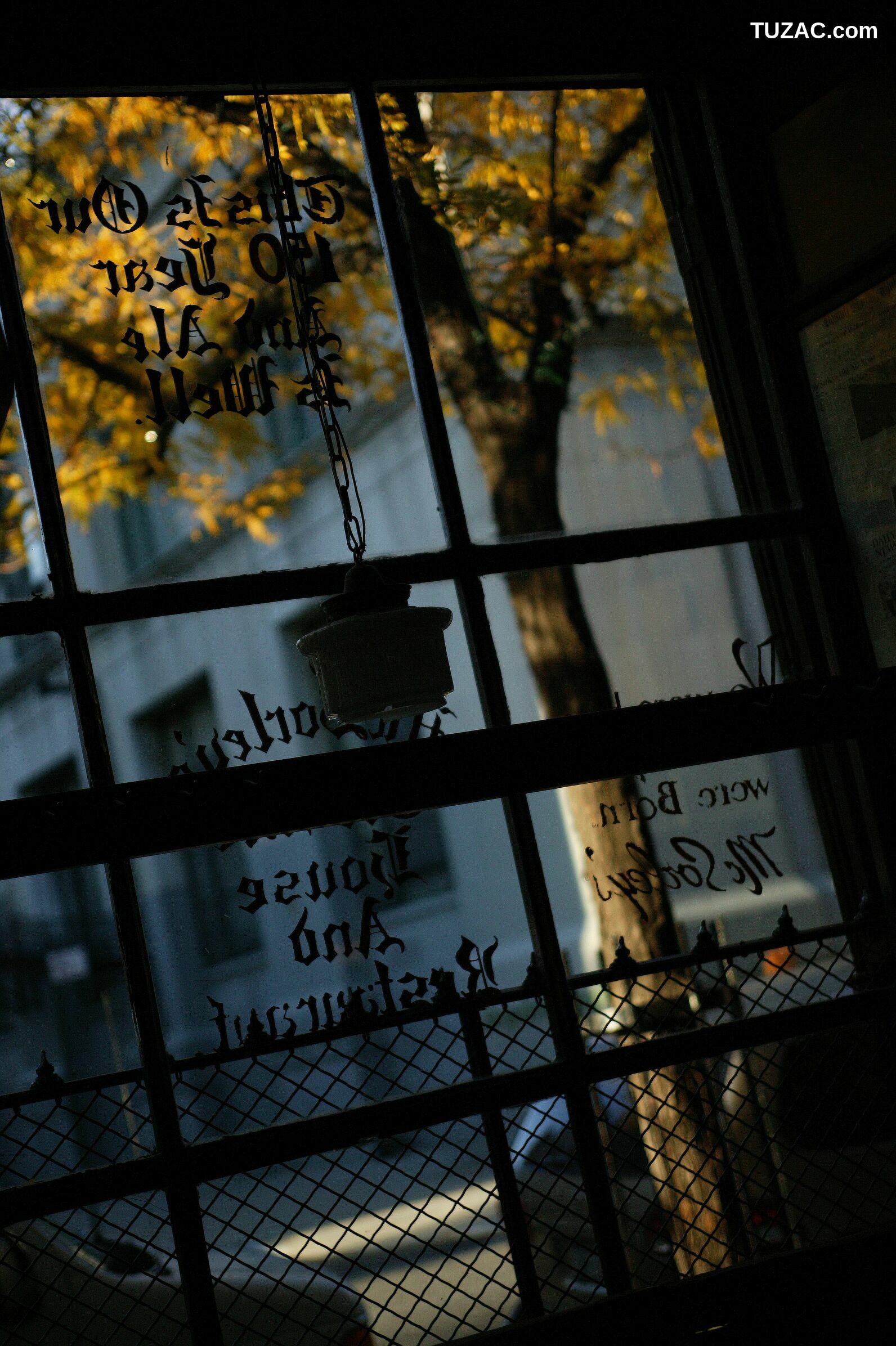 NS Eyes_ SF-No.418 Sachiko Suzuki 铃木早智子 写真集[40P]