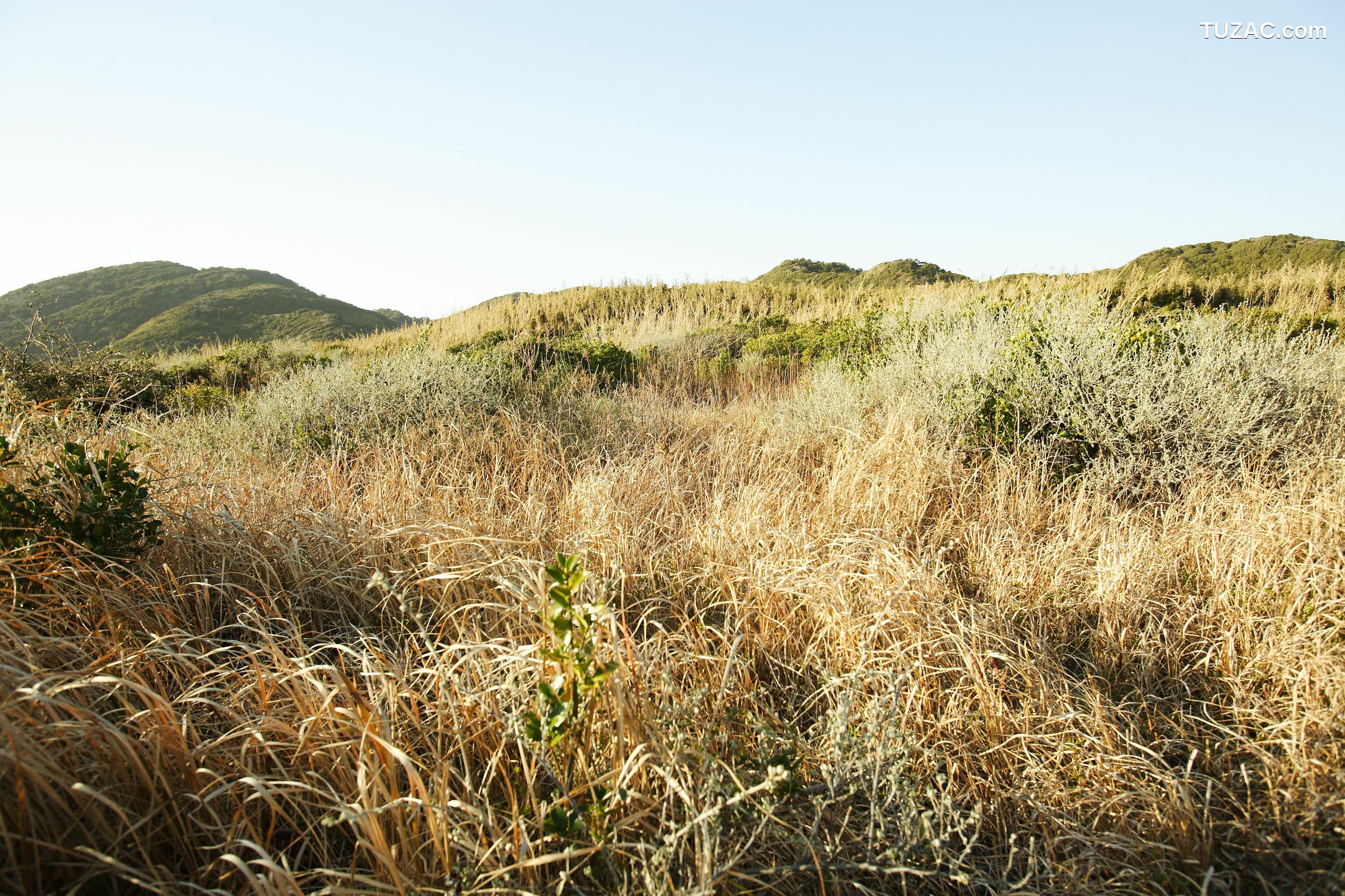 NS Eyes_ SF-No.428 琴早妃 Saki Koto 写真集[47P]