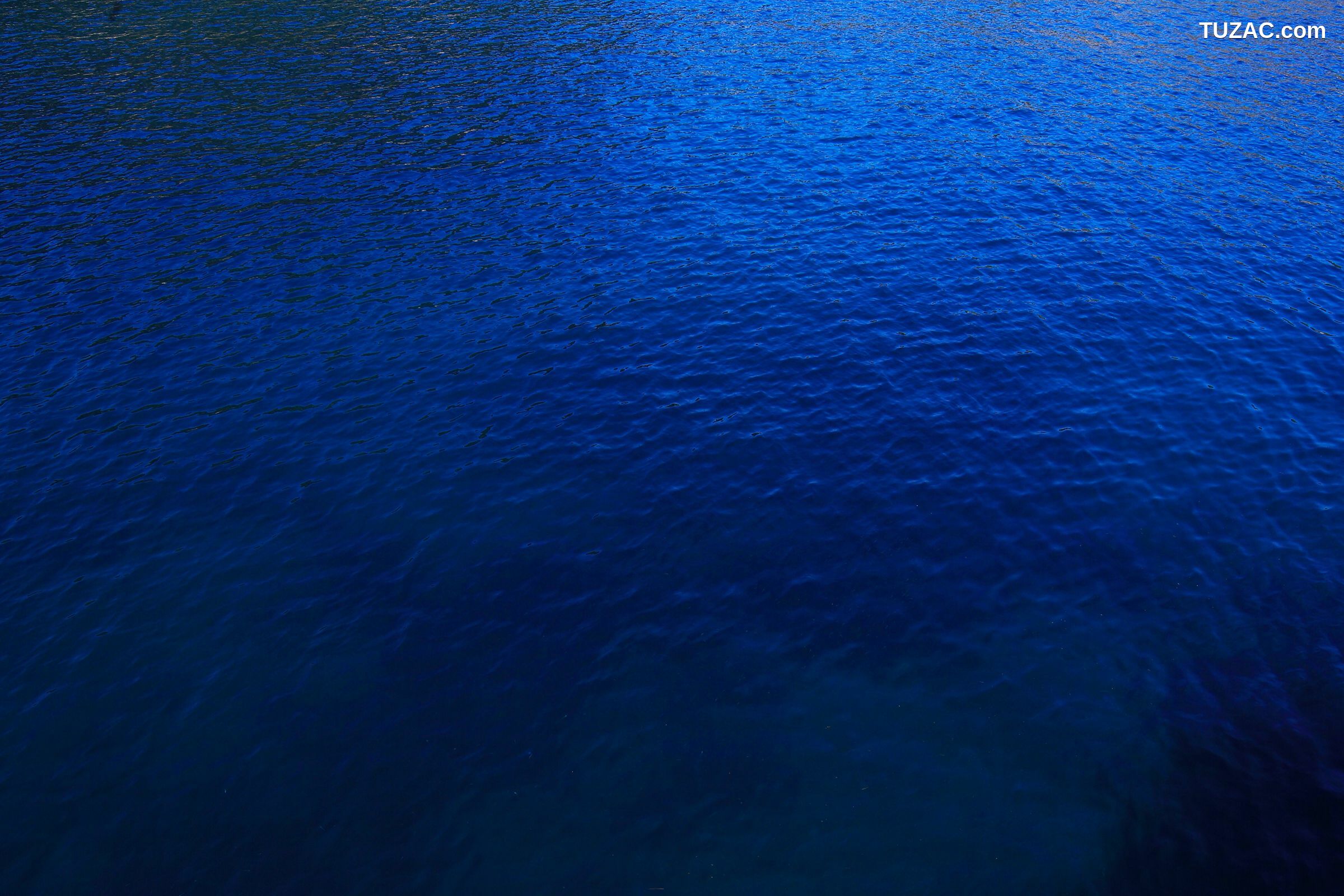 NS Eyes_ SF-No.428 琴早妃 Saki Koto 写真集[47P]