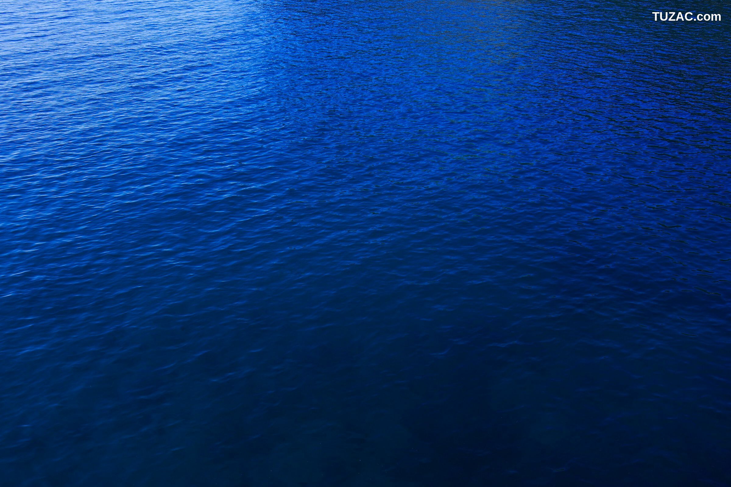 NS Eyes_ SF-No.428 琴早妃 Saki Koto 写真集[47P]