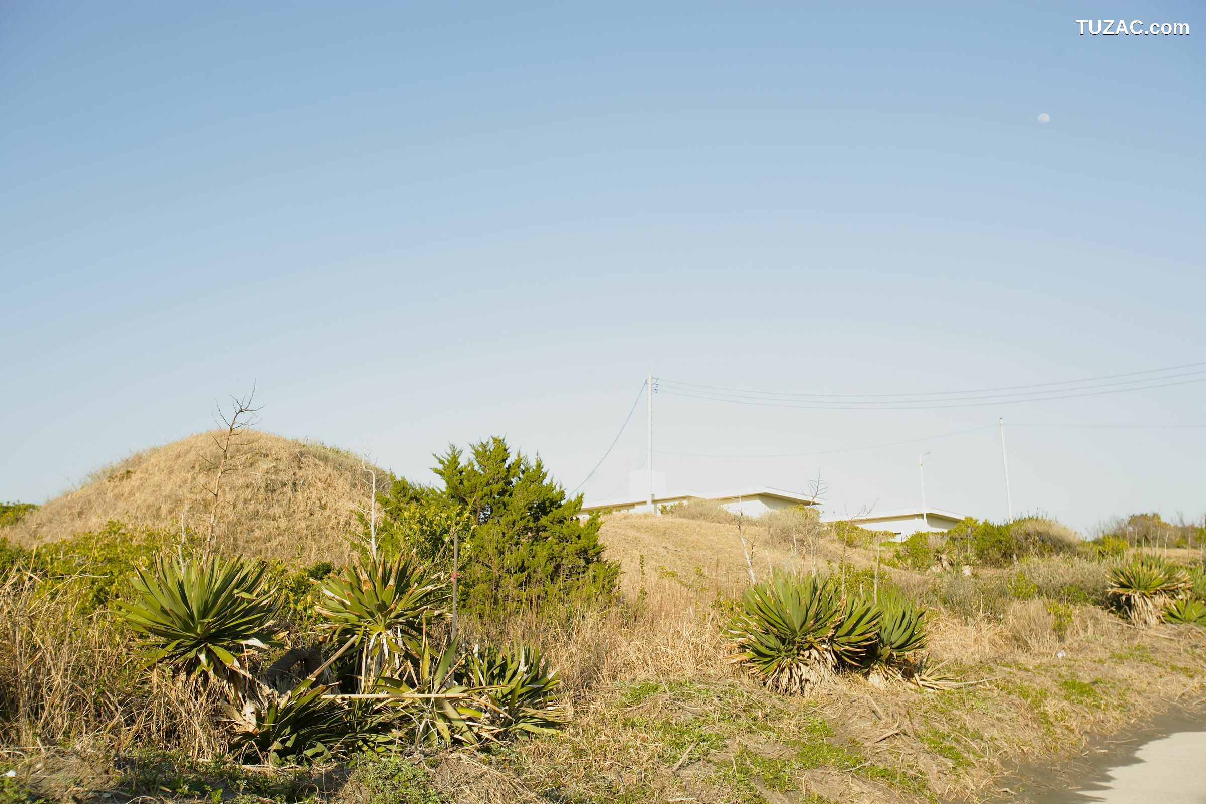 NS Eyes_ SF-No.428 琴早妃 Saki Koto 写真集[47P]