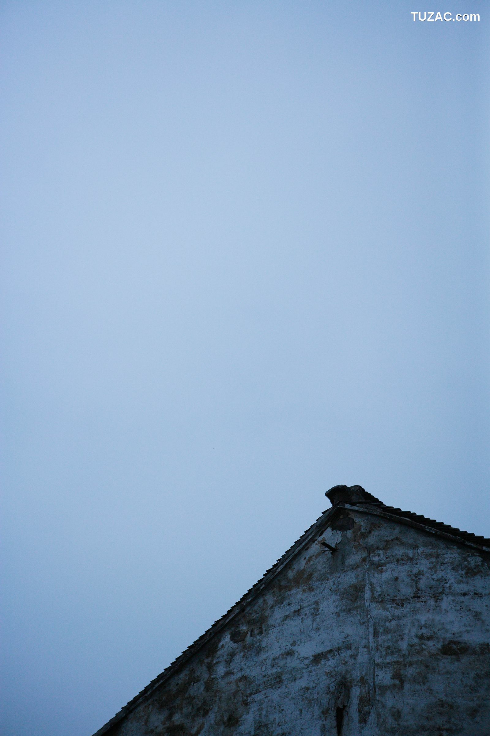 NS Eyes_ SF-No.443 Yuriko Shiratori 白鳥百合子/白鸟百合子 写真集[40P]