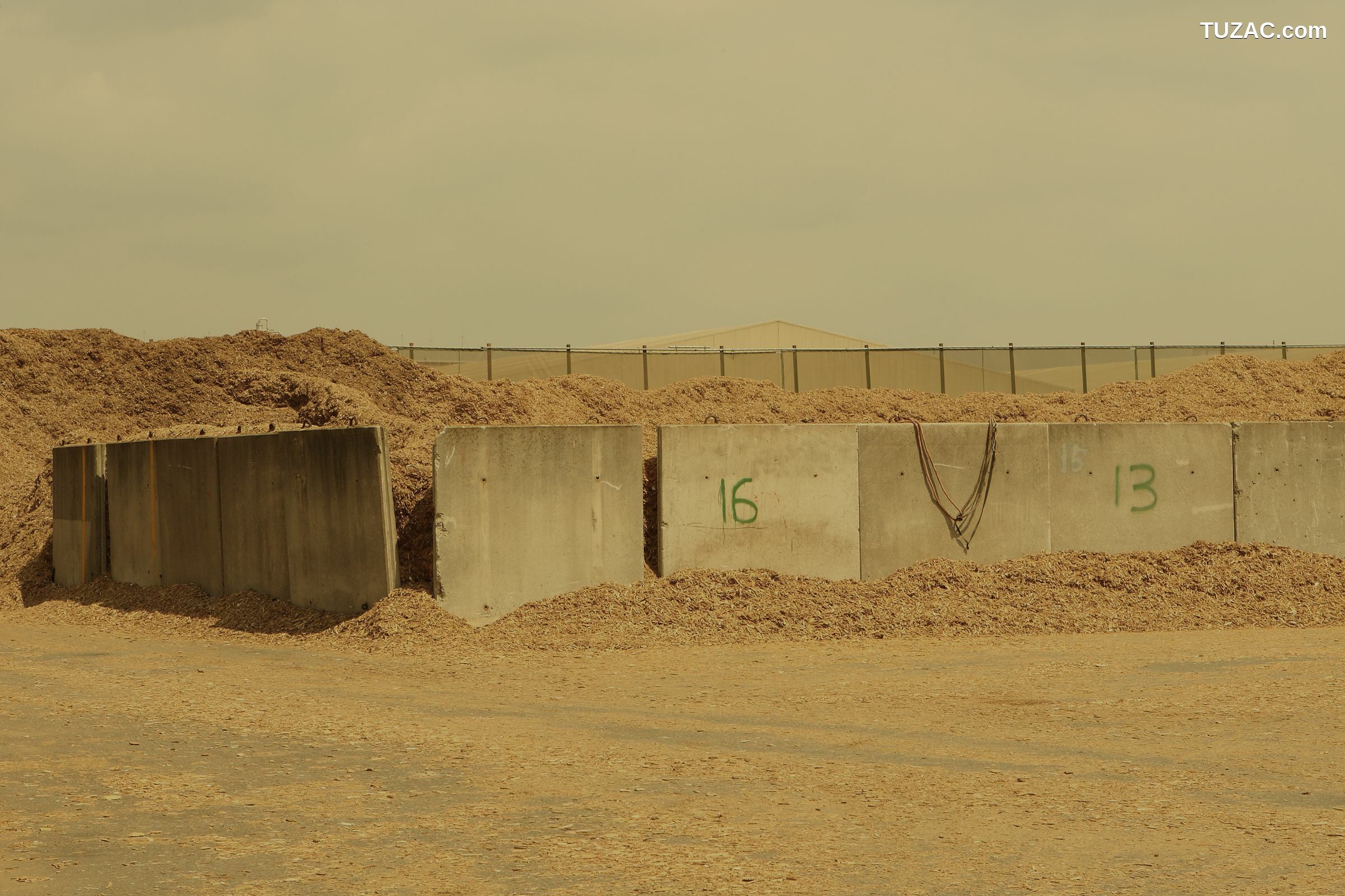 NS Eyes_ SF-No.450 Namiko Hara 原南海子 写真集[37P]