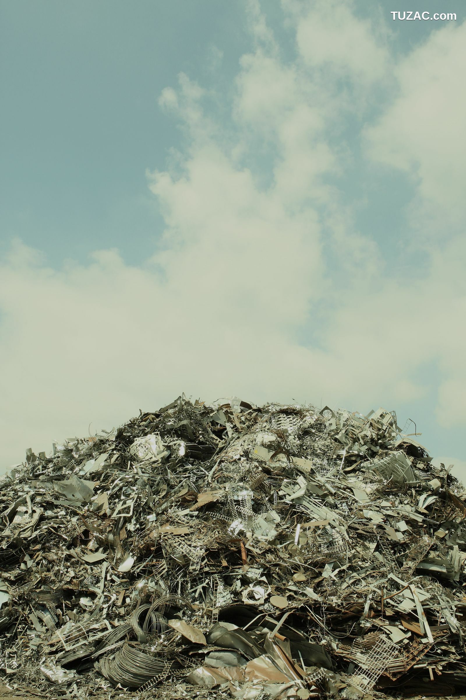 NS Eyes_ SF-No.450 Namiko Hara 原南海子 写真集[37P]