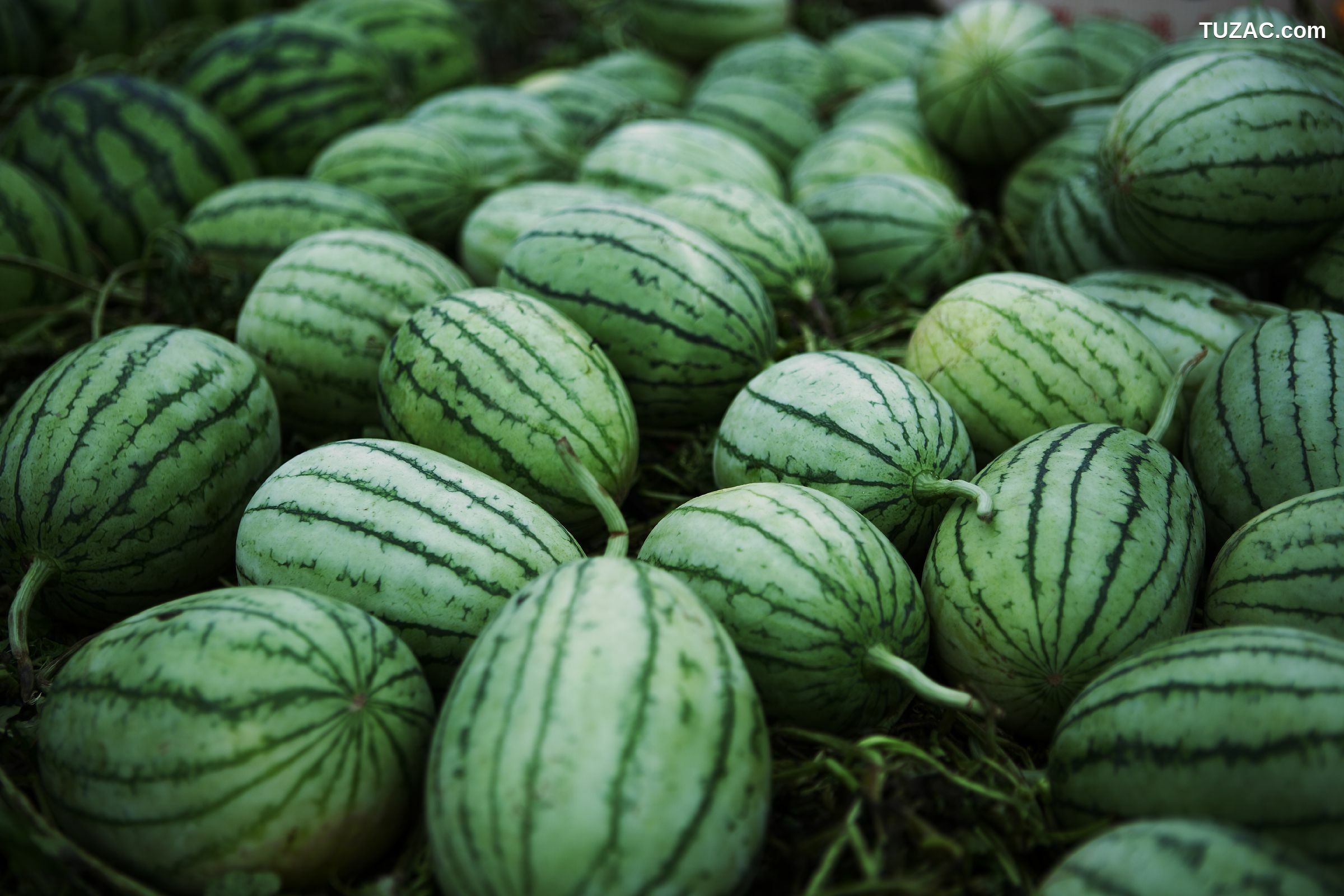 NS Eyes_ SF-No.454 Nonami Takizawa 泷泽乃南/滝沢乃南 写真集[33P]