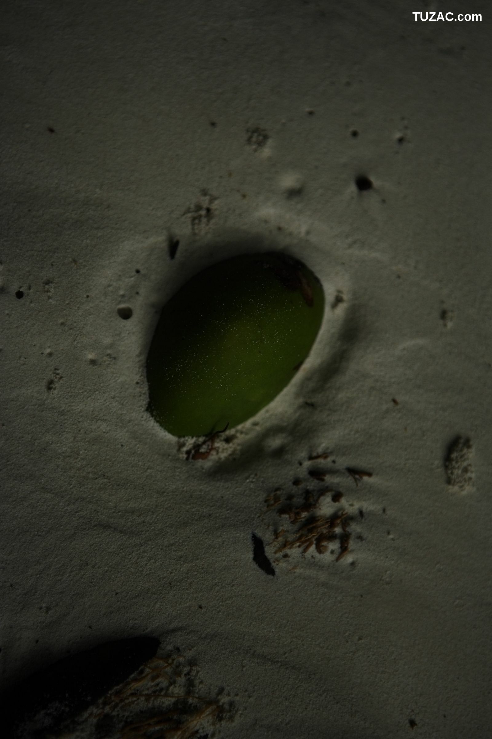 NS Eyes_ SF-No.458 Saaya Irie 入江紗綾 -UNDERAGE! 写真集[39P]