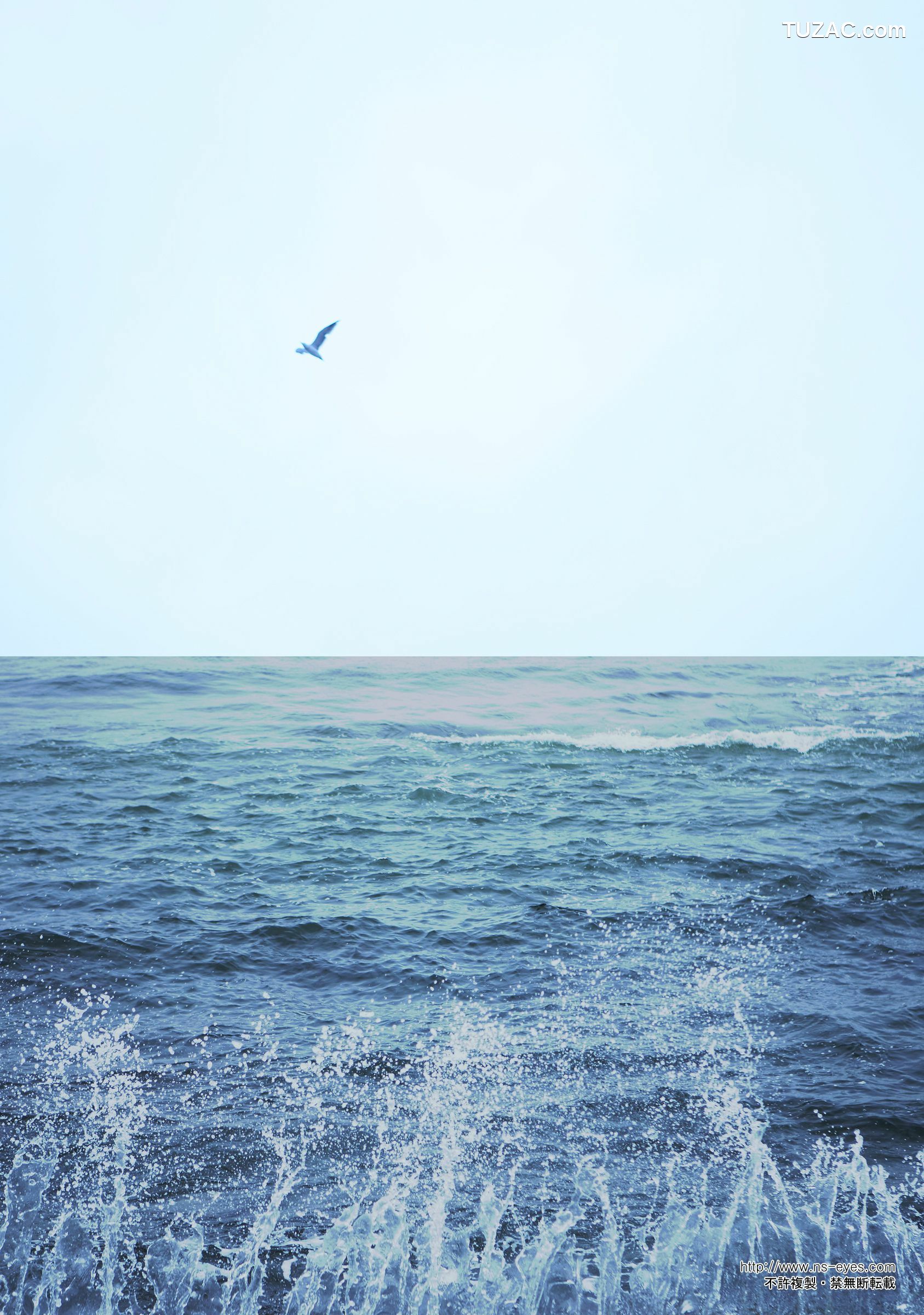 NS Eyes_ SF-No.461 小泉麻耶 Maya Koizumi 写真集[40P]