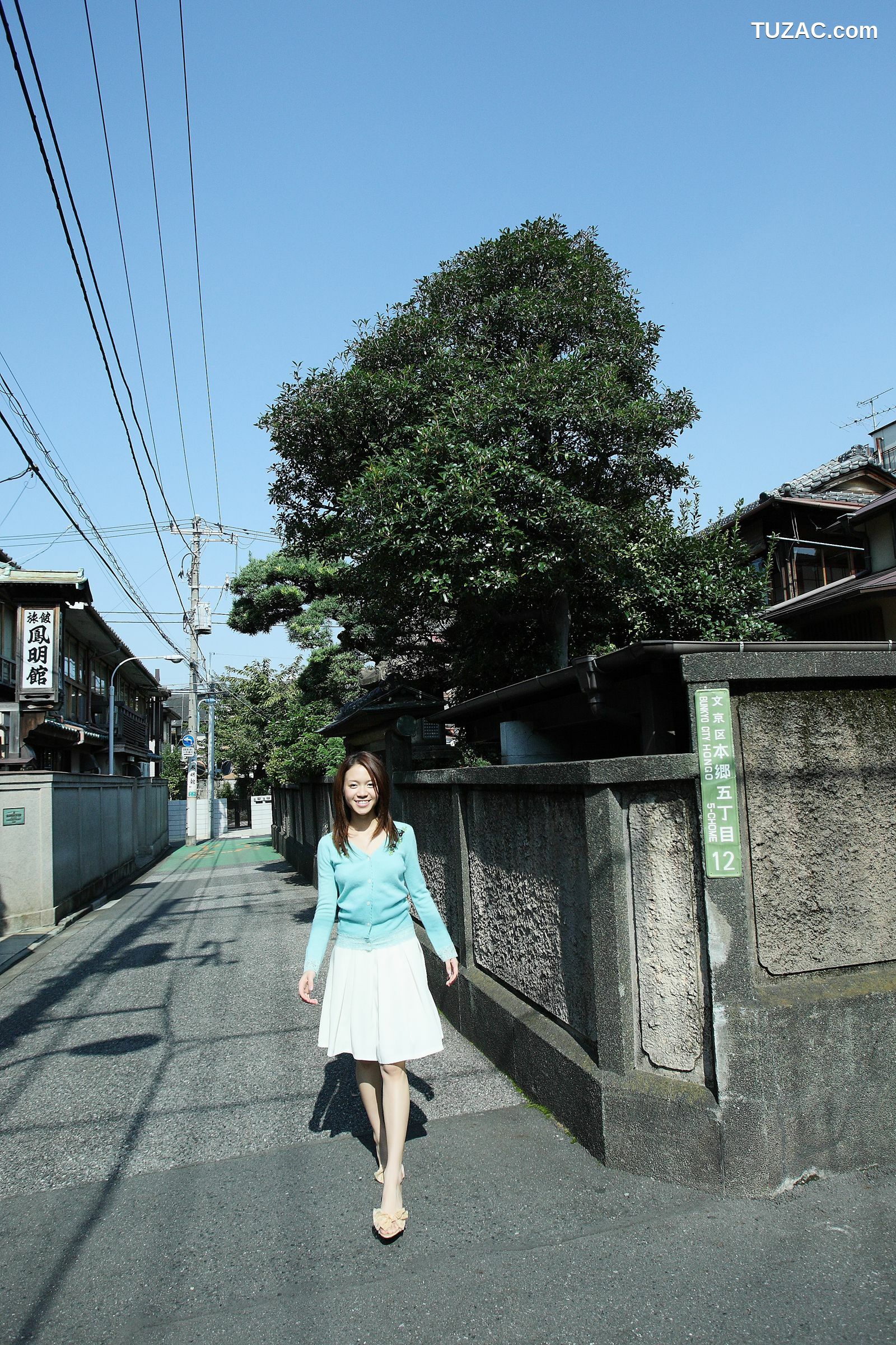 NS Eyes_ SF-No.503 Sherry Fujii 藤井雪莉/藤井シェリー 写真集[31P]