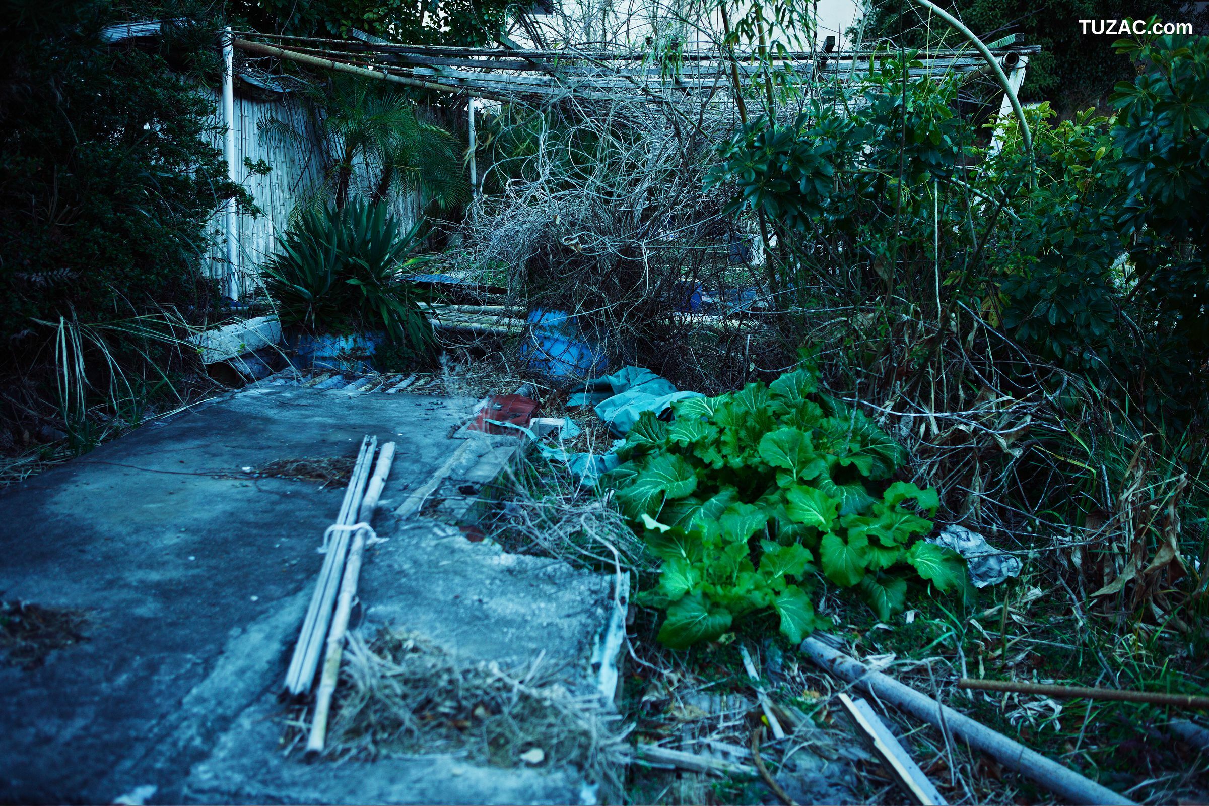 NS Eyes_ SF-No.509 Yoko Matsugane 松金ようこ 写真集[27P]