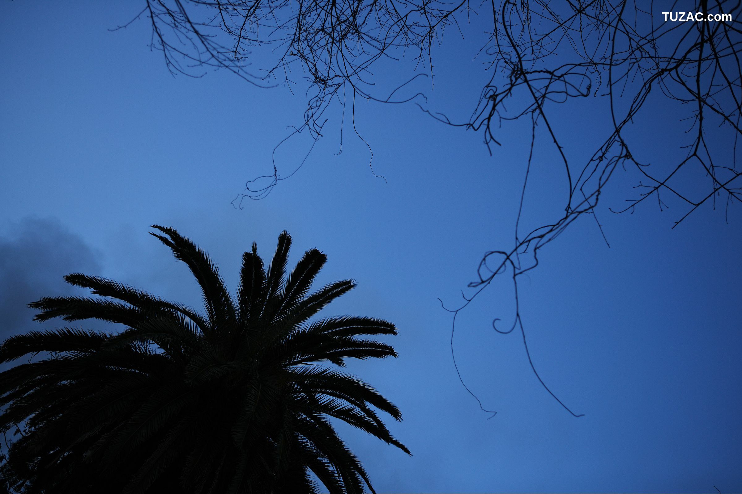 NS Eyes_ SF-No.509 Yoko Matsugane 松金ようこ 写真集[27P]