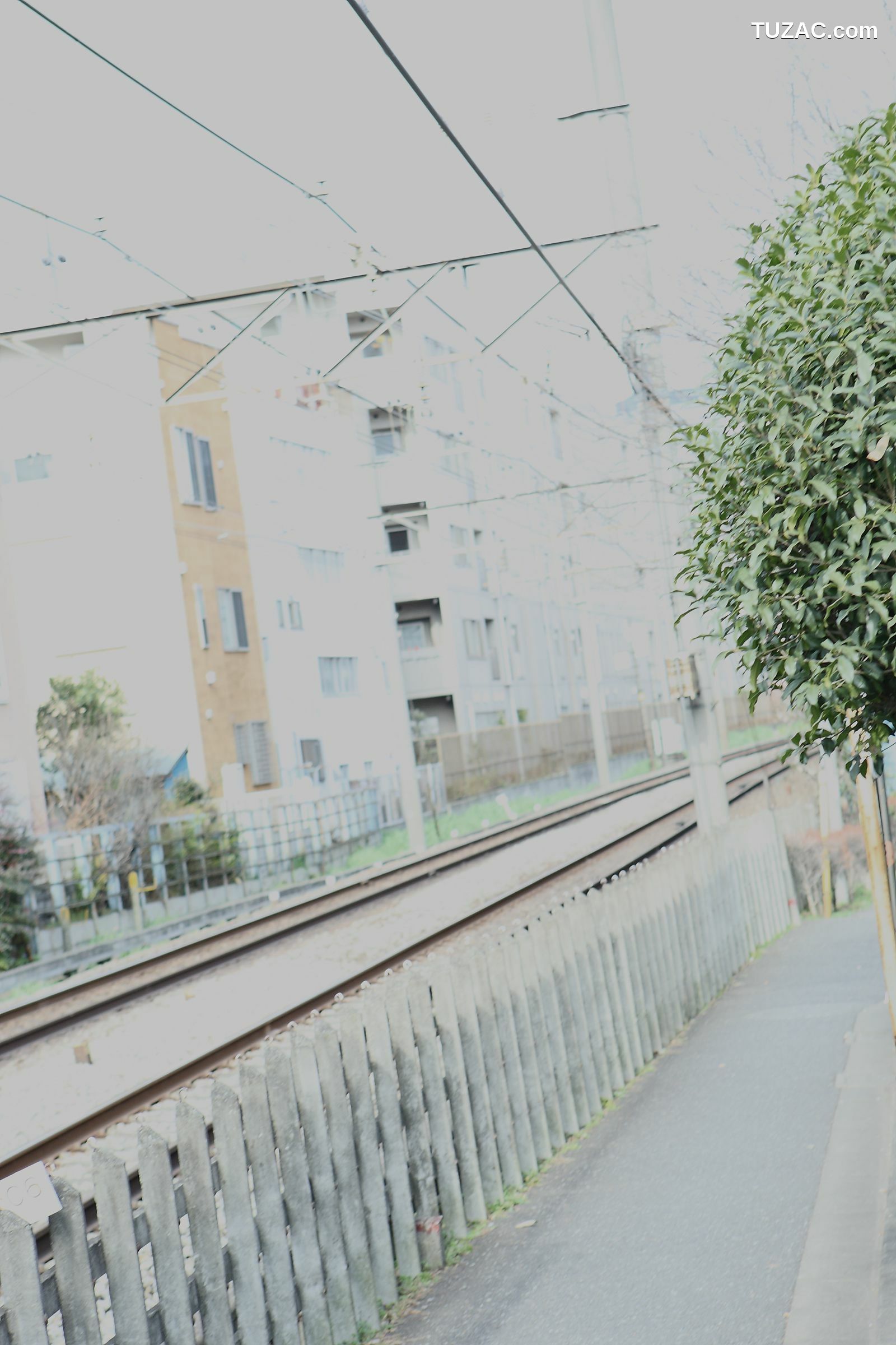 NS Eyes_ SF-No.514 Maya Koizumi 小泉麻耶 写真集[44P]