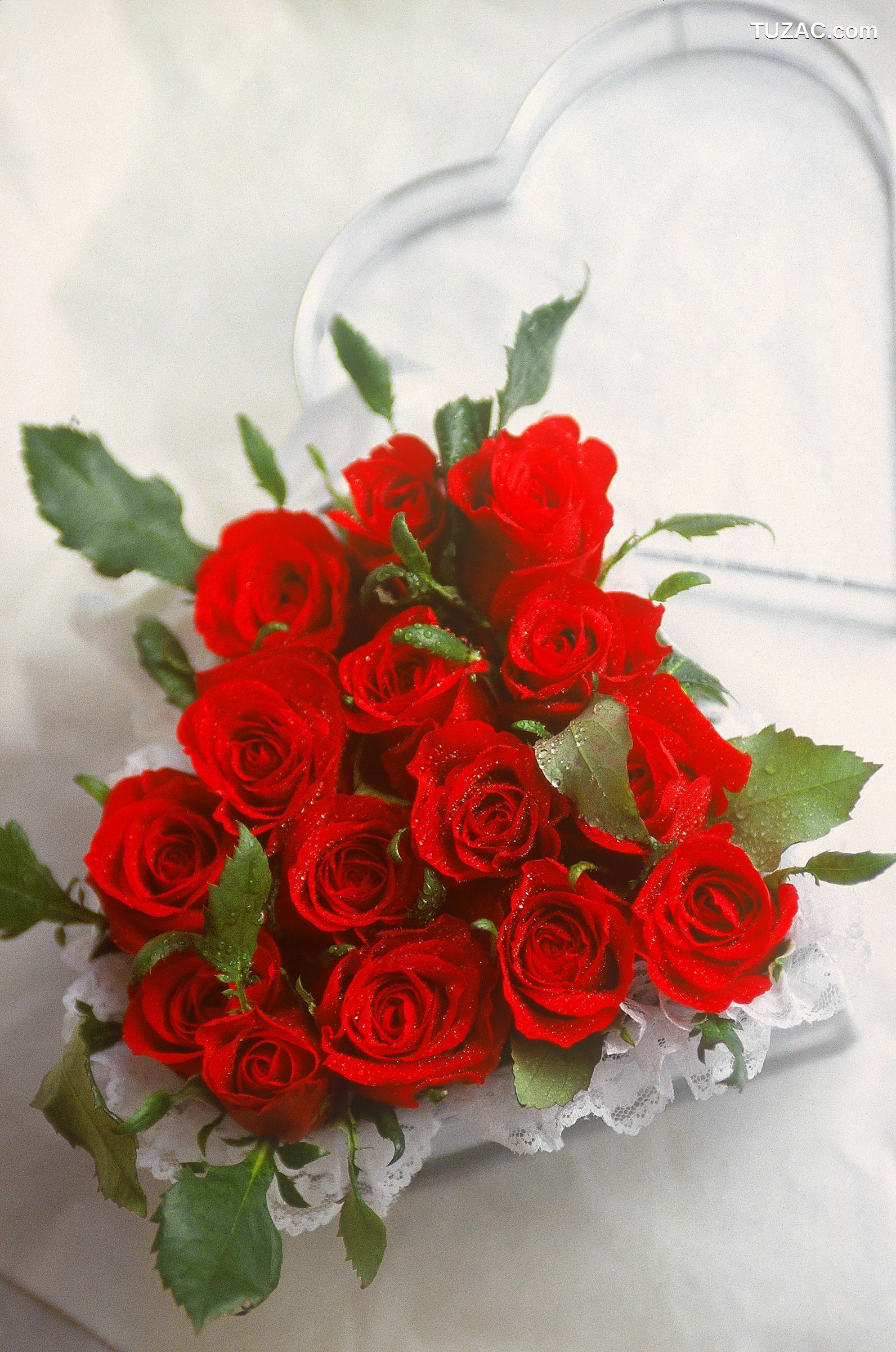 NS Eyes_ SF-No.522 Yoko Watanabe 渡辺洋香/渡边洋香 写真集[36P]