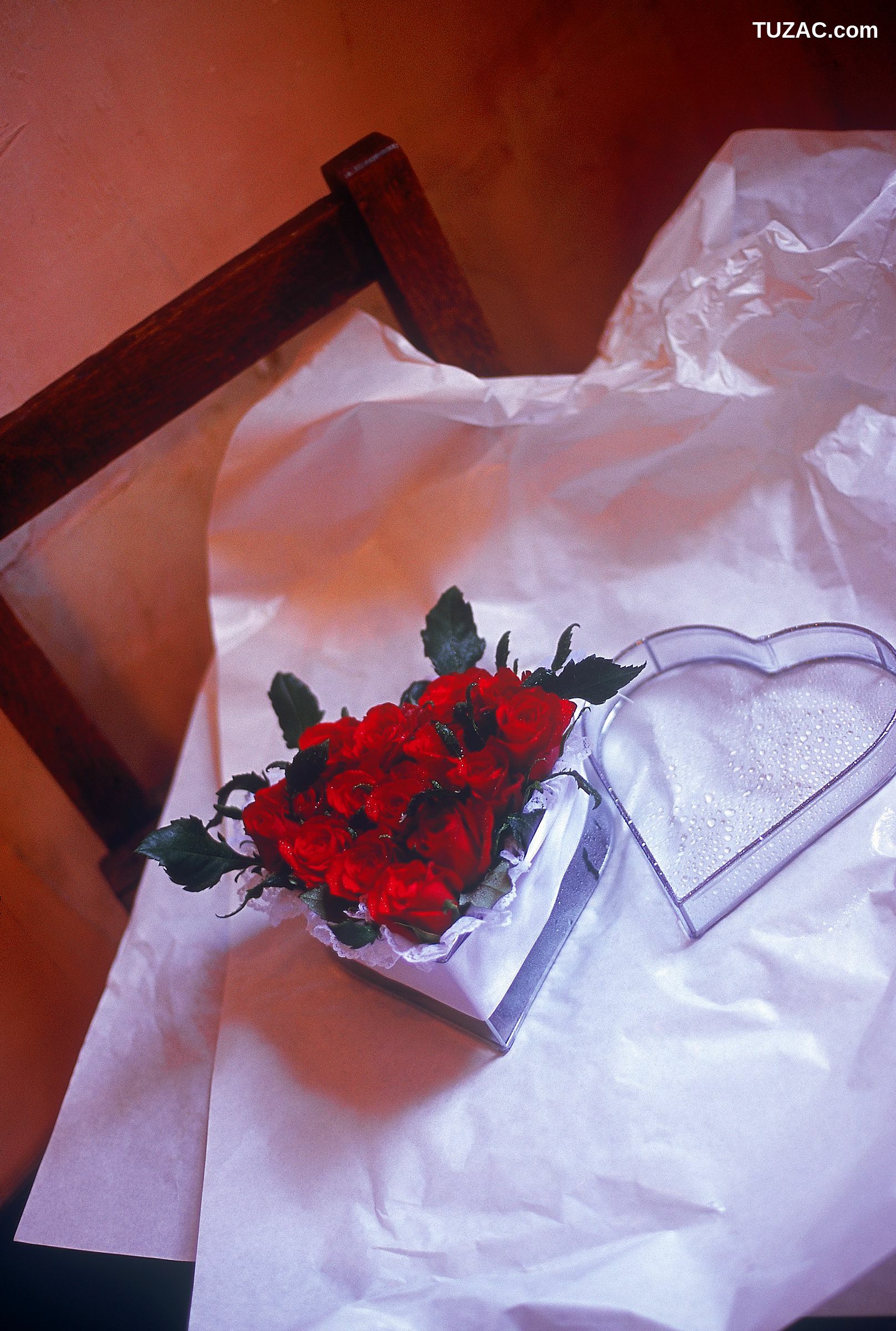 NS Eyes_ SF-No.522 Yoko Watanabe 渡辺洋香/渡边洋香 写真集[36P]