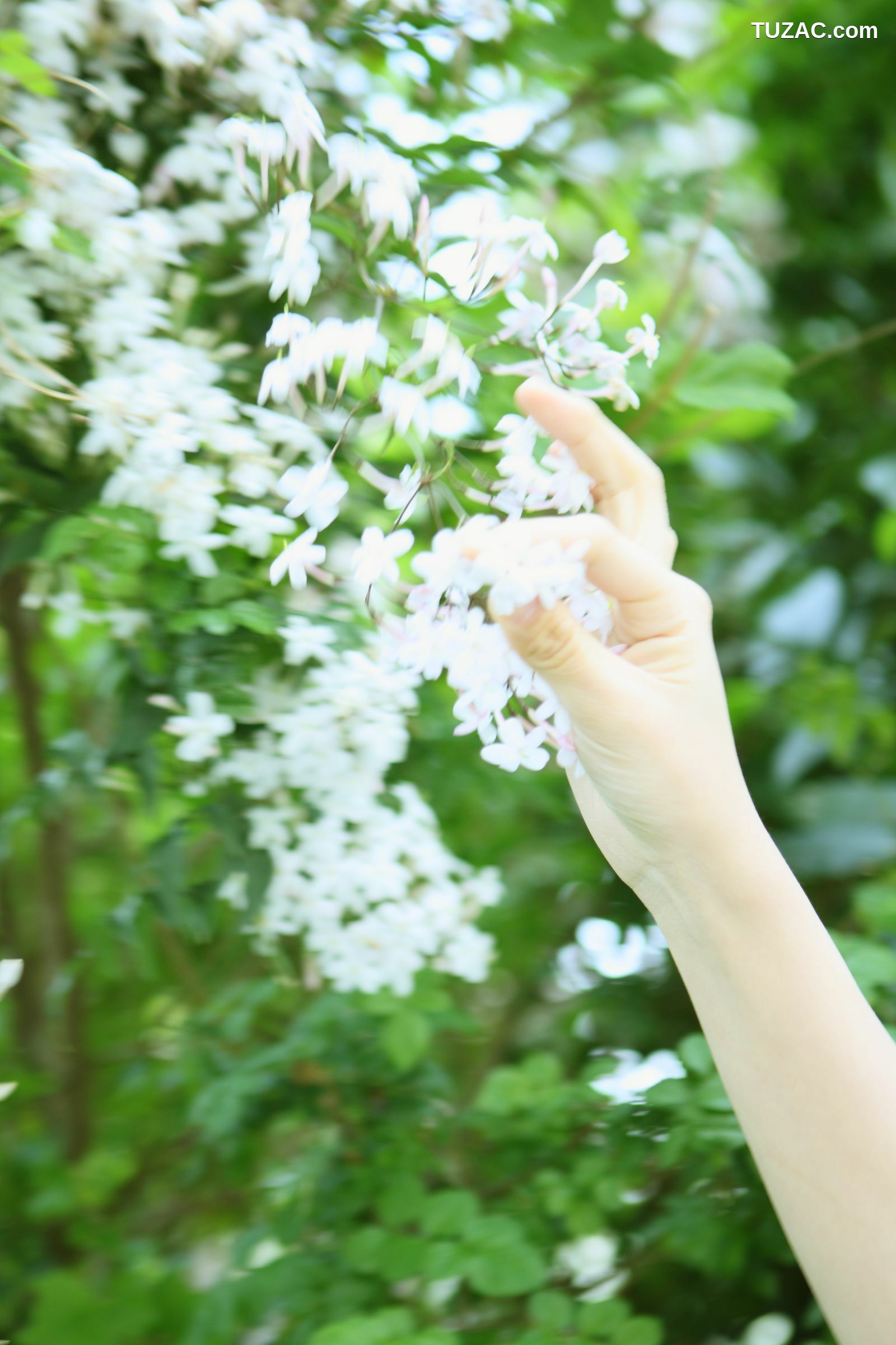 NS Eyes_ SF-No.538 Anna Ito 伊藤杏奈/滝沢杏奈 写真集[21P]