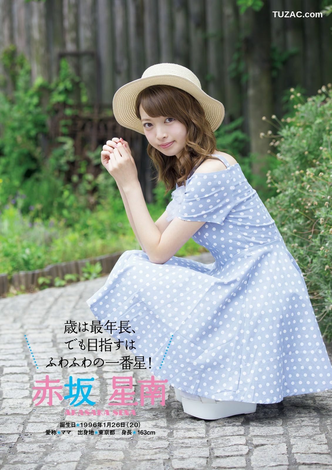 PB写真集_ ふわふわ 《ふわふわです》 写真集[102P]