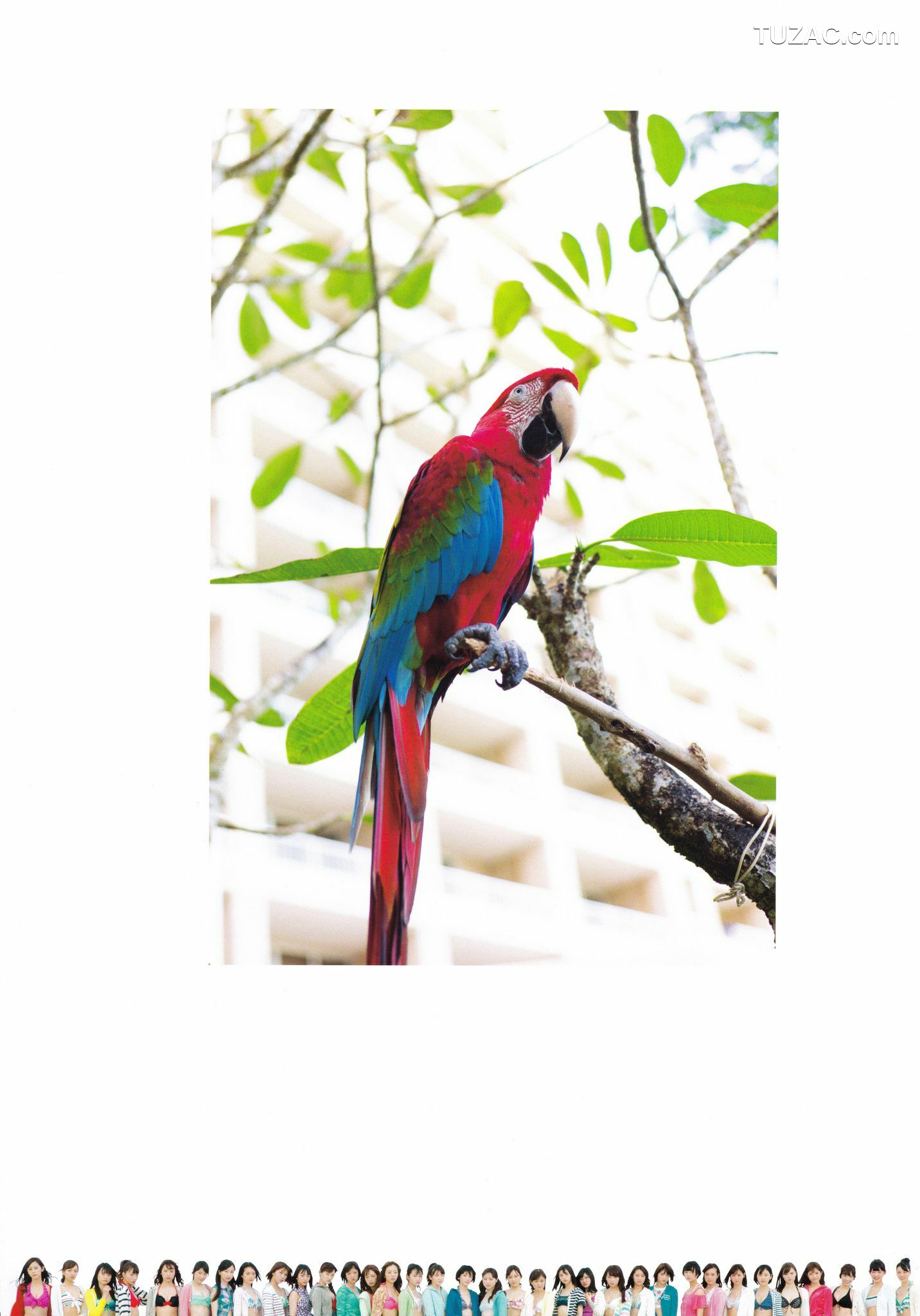 PB写真集_乃木坂46 《1時間遅れのI love you》 [119P]