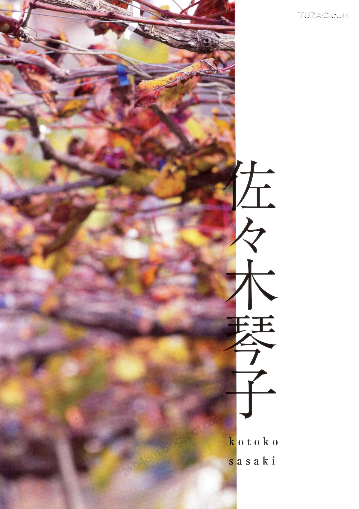 PB写真集_乃木坂46 《Winter 彩冬》