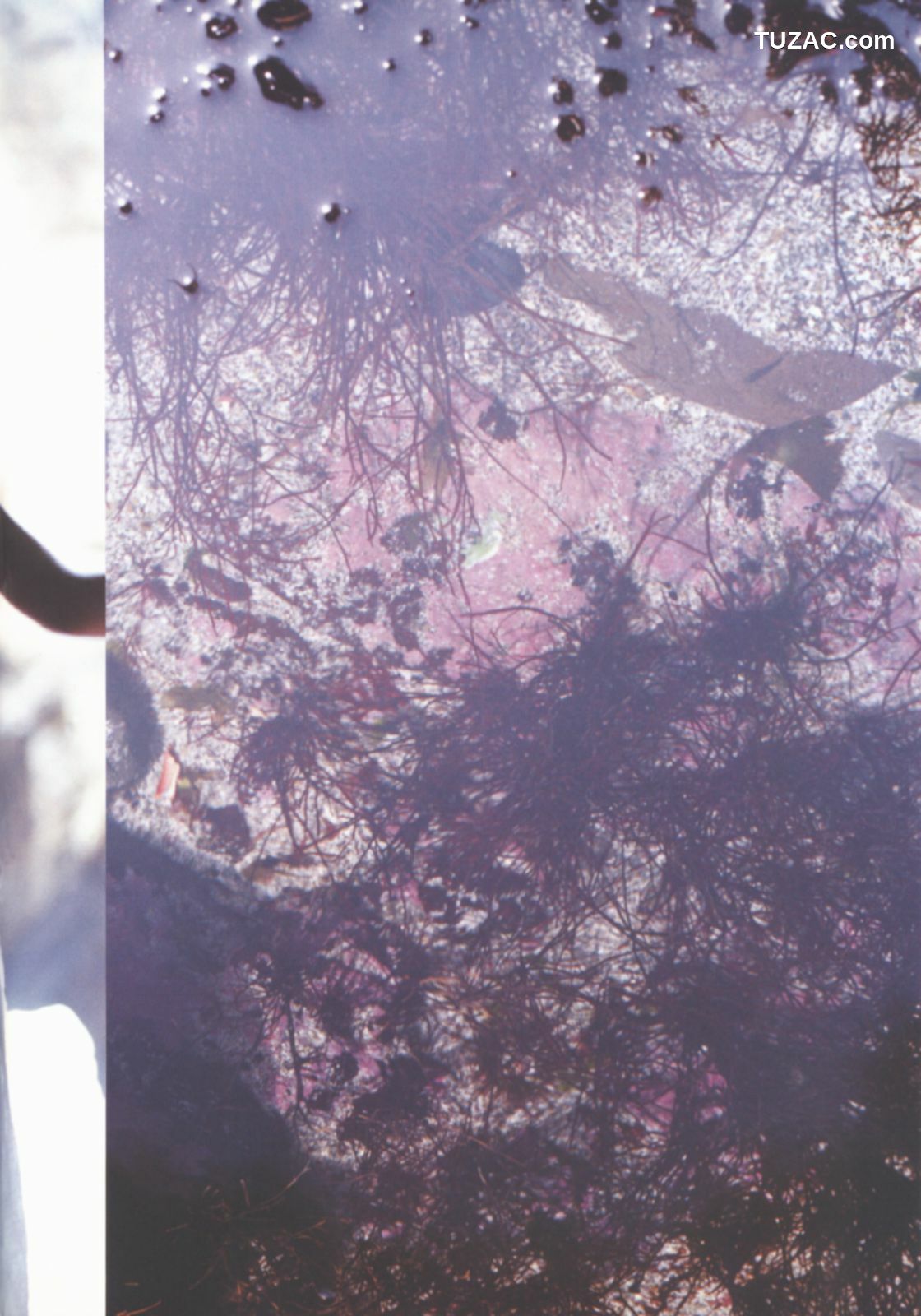 PB写真集_伊藤歩 Ayumi Ito 月刊シリーズ 060 写真集[78P]