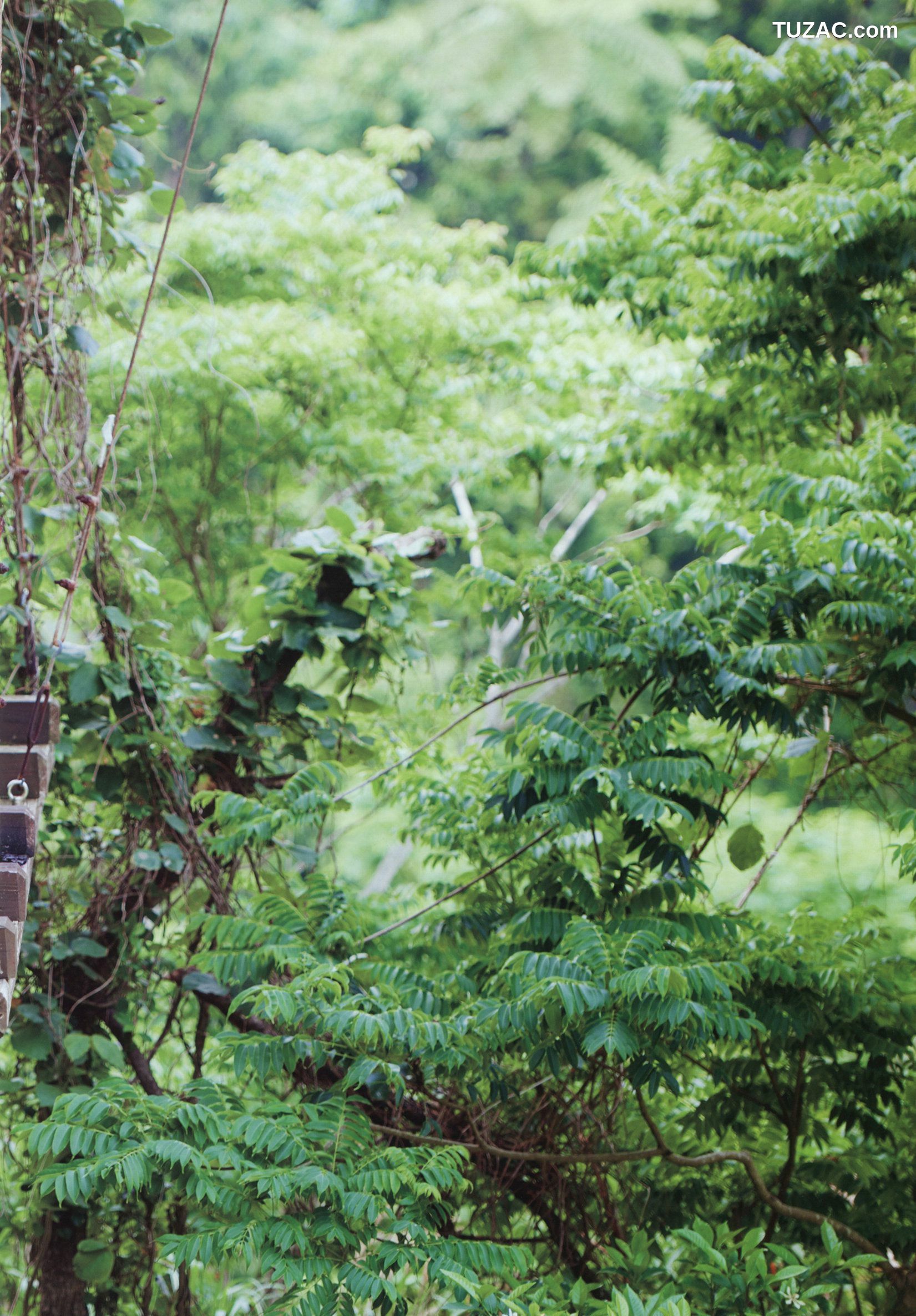 PB写真集_佐々木莉佳子/佐佐木莉佳子 《RIKAKO》 [115P]