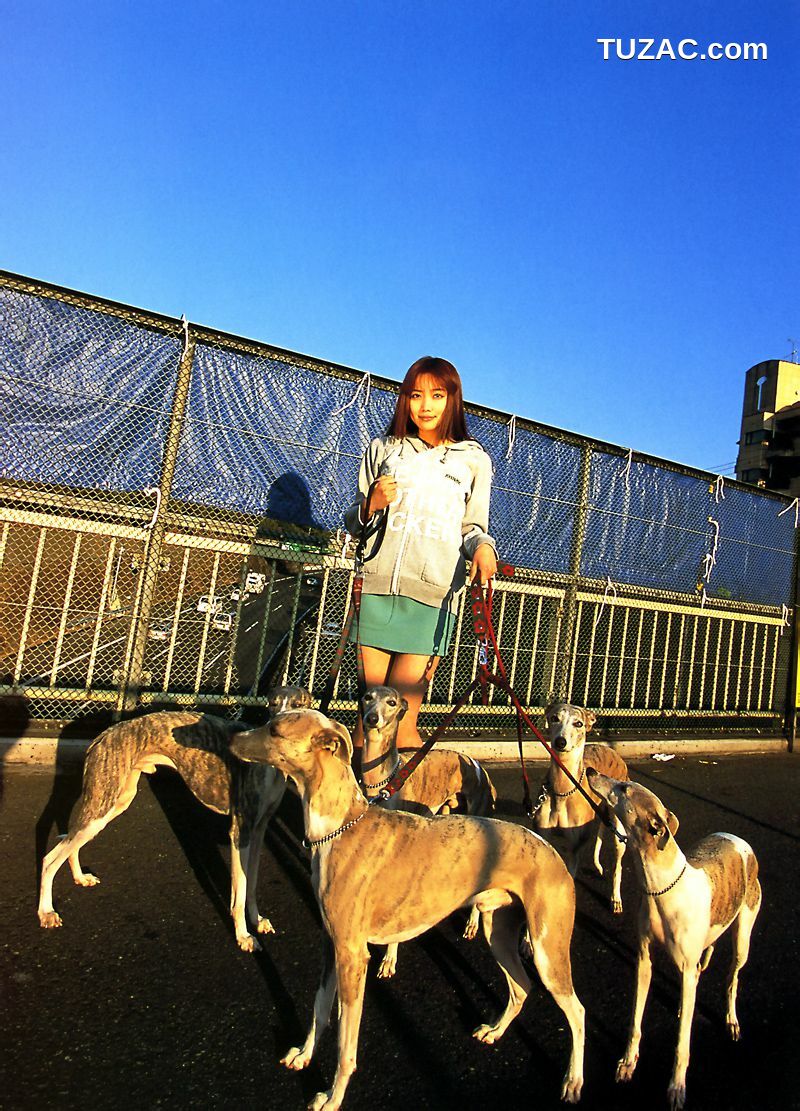 PB写真集_佐藤江梨子《おひっこし》 写真集[115P]