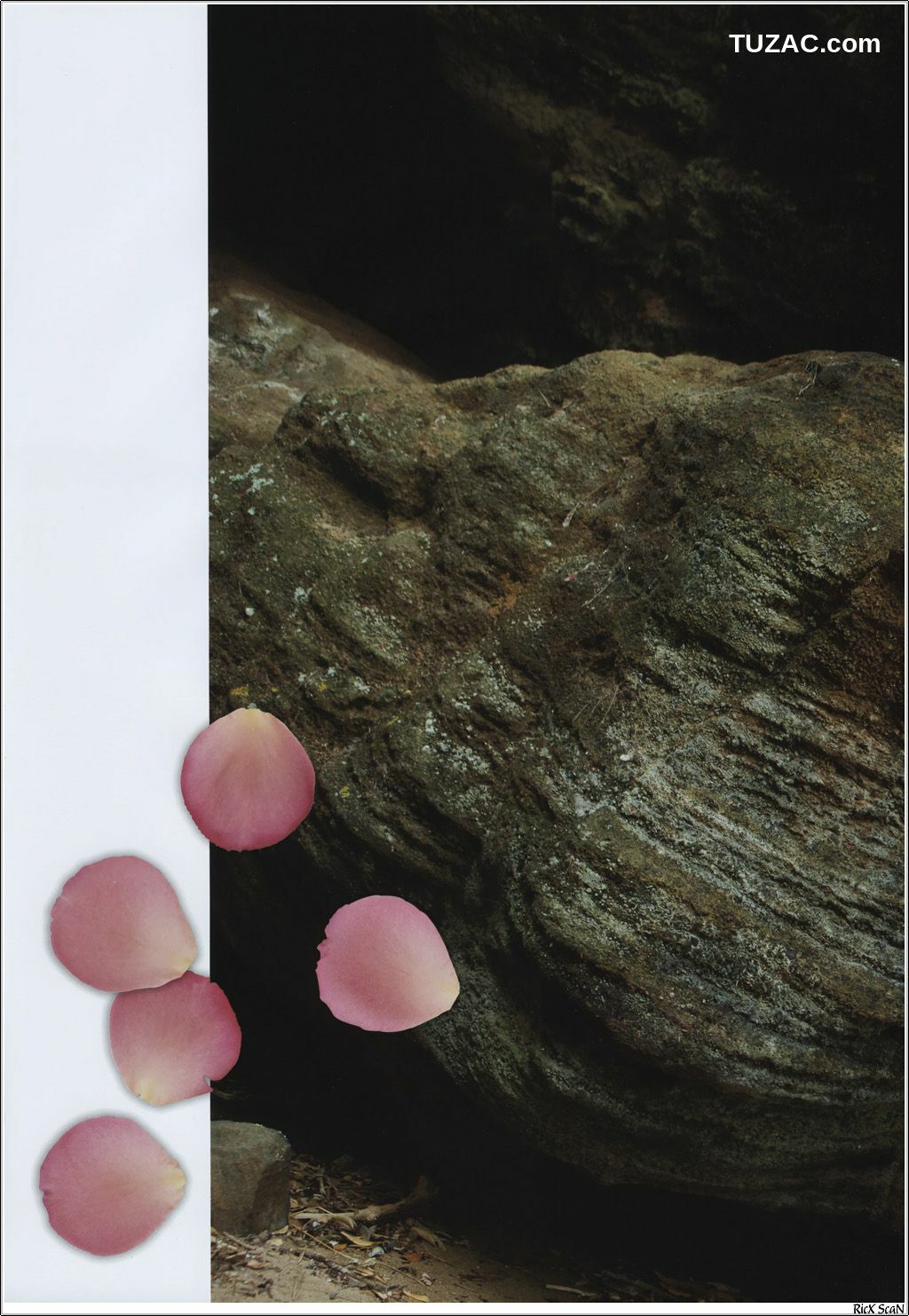 PB写真集_入江紗綾 《Seventeen&amp;#039;s Dreams》 [102P]