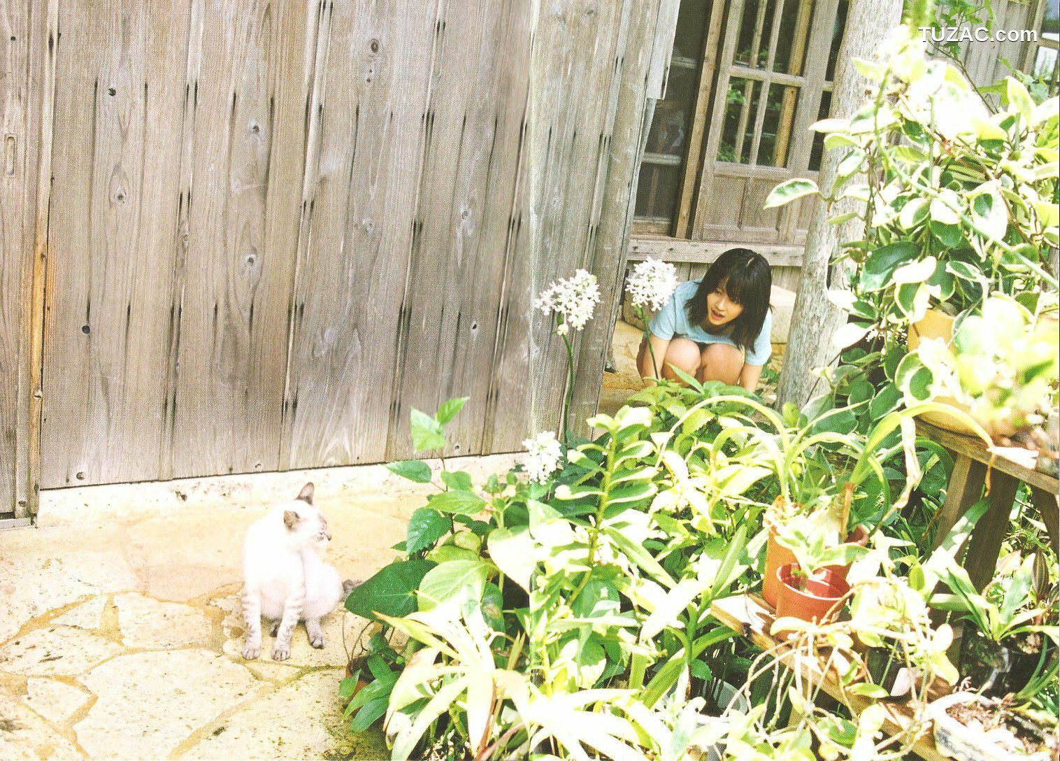PB写真集_前田敦子 《Memorial》[76P]