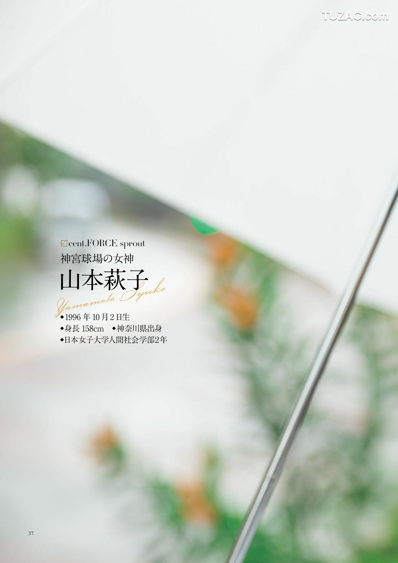 PB写真集_原色美人キャスター大図鑑2017《Cent Force Dprout &amp;amp; Kansai Fresh File》 写真集[75P]