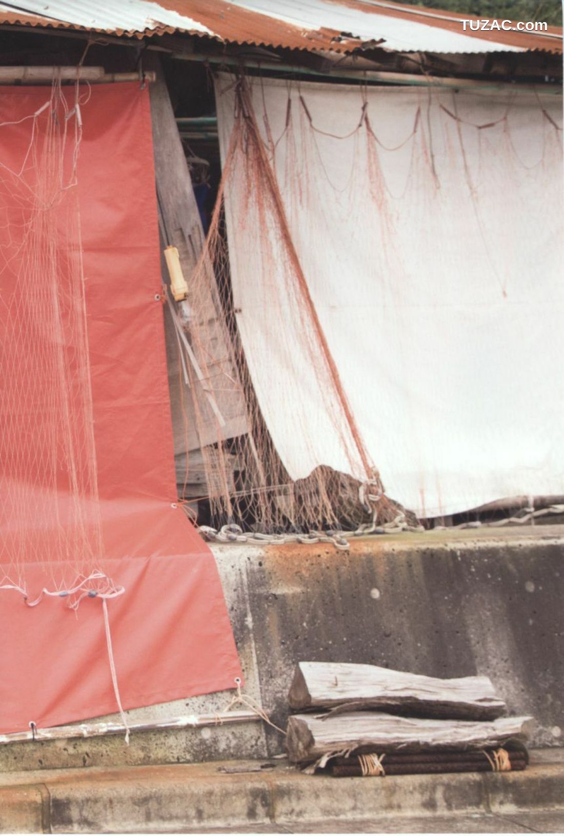 PB写真集_大島麻衣《勉強させていただきました!》 [86P]