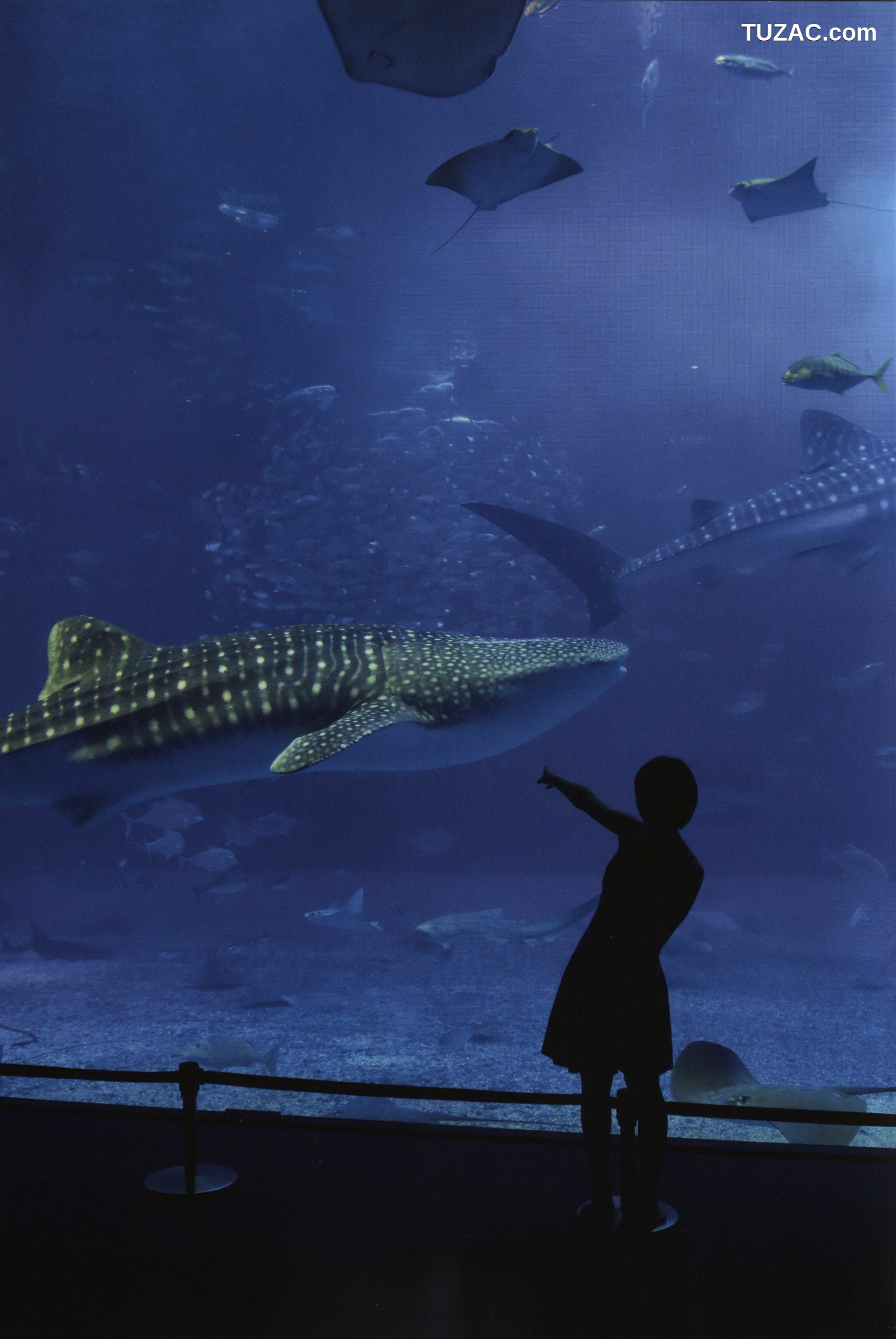 PB写真集_工藤遥《Tenki ni Naare!》 [83P]