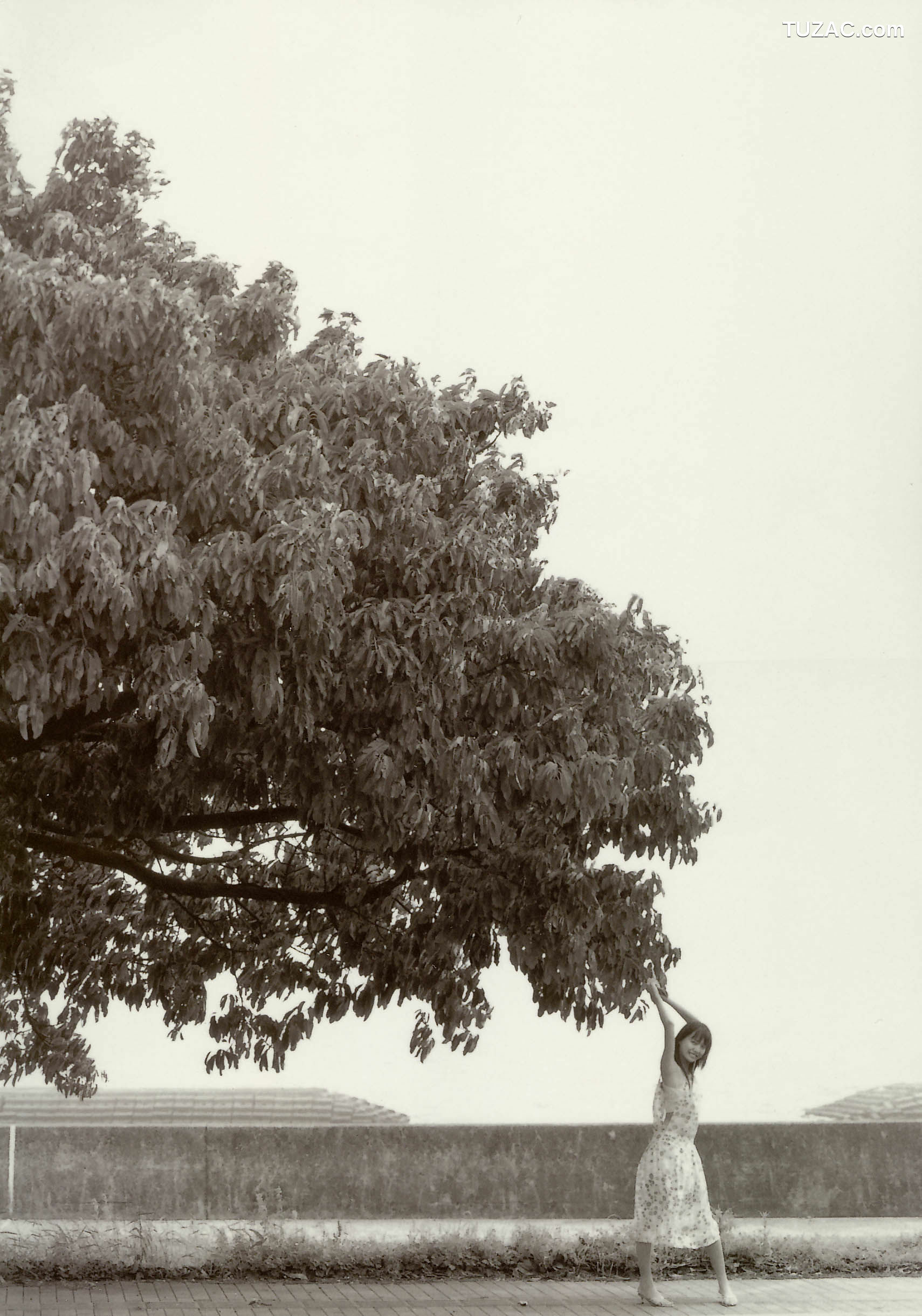 PB写真集_戸田恵梨香《SANWA MOOK 7 生まれた泉》 写真集[97P]