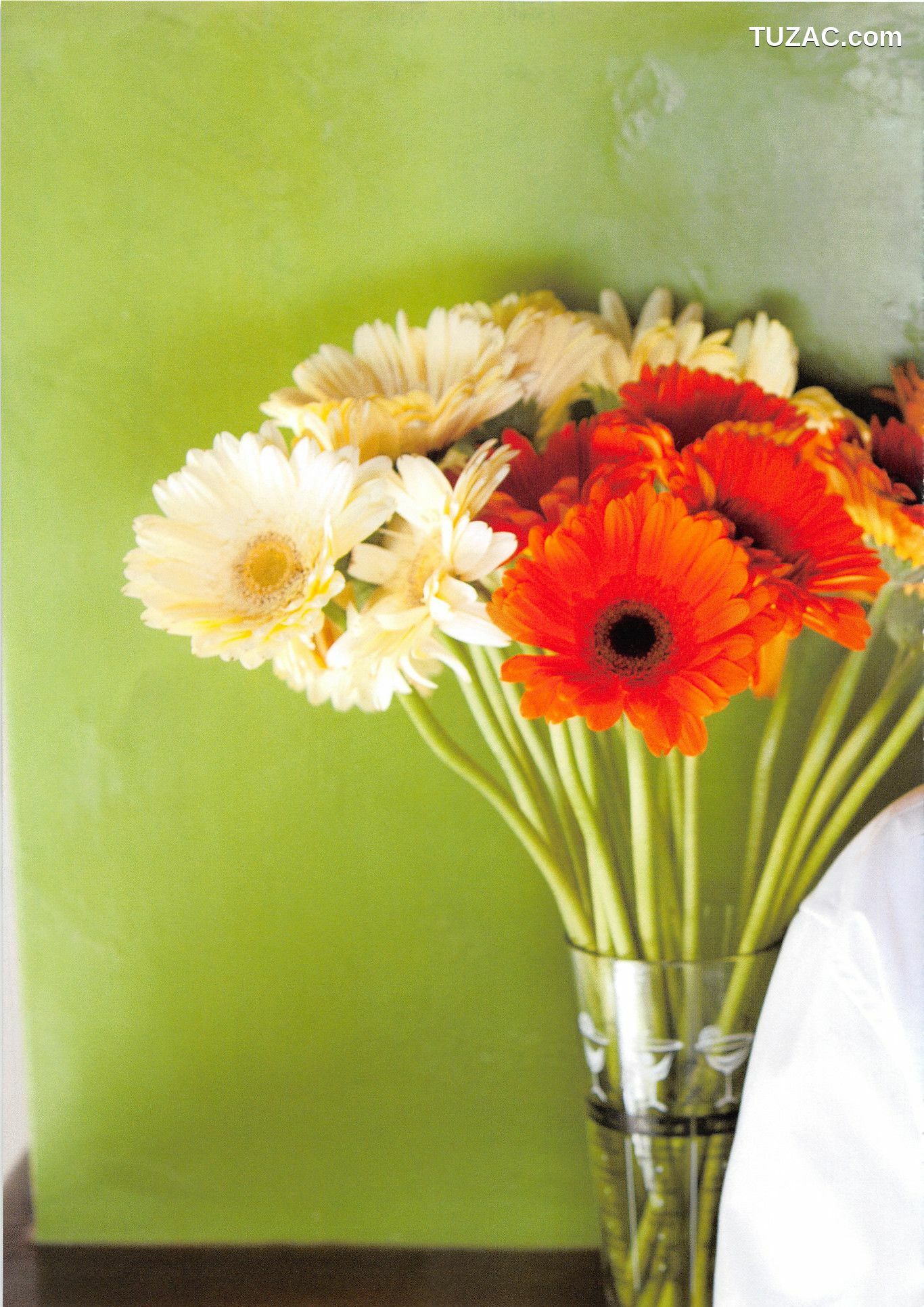 PB写真集_松井珠理奈《Jurina》 写真集[131P]