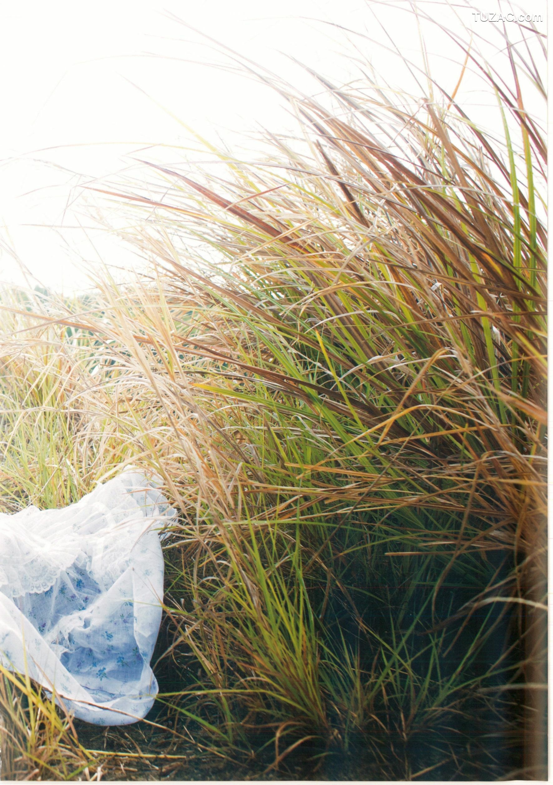 PB写真集_渡辺美優紀《 MW 》 写真集[124P]