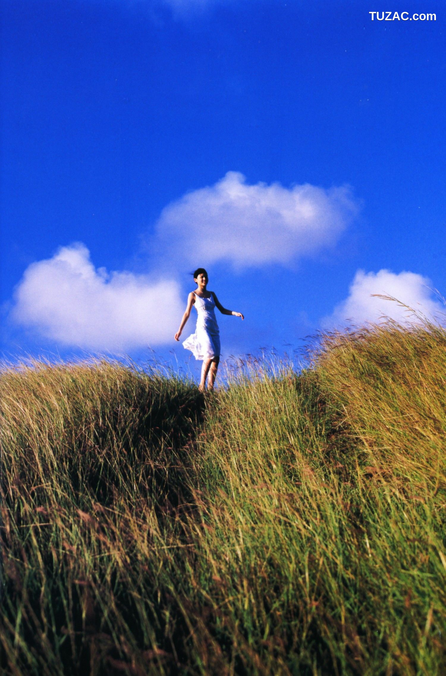 PB写真集_矢島舞美《Sousola》 写真集[75P]