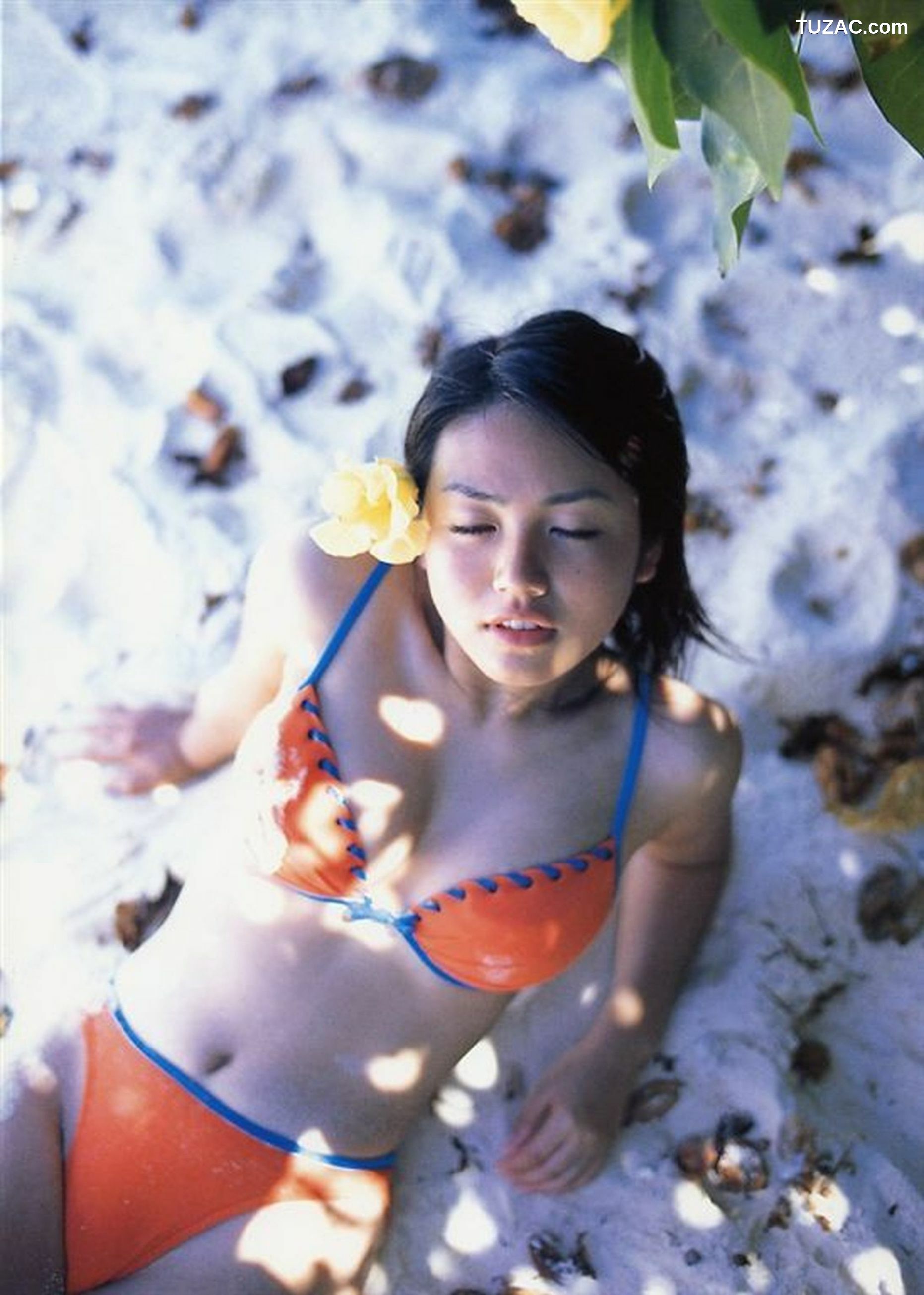 PB写真集_磯山さやか 《Pre Pri‐17》ファースト  写真集[101P]