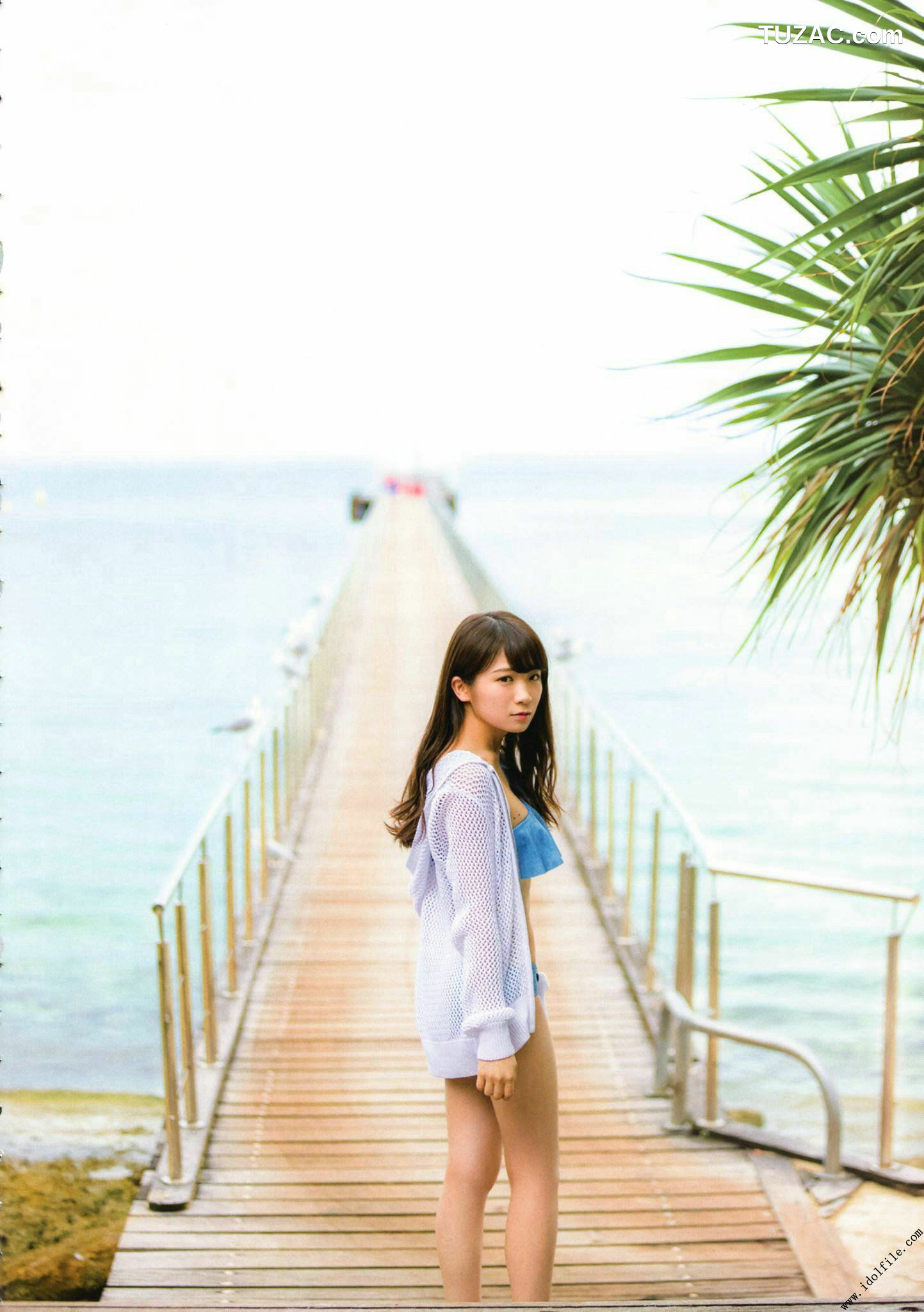PB写真集_秋元真夏 1st《真夏の気圧配置》 写真集[145P]