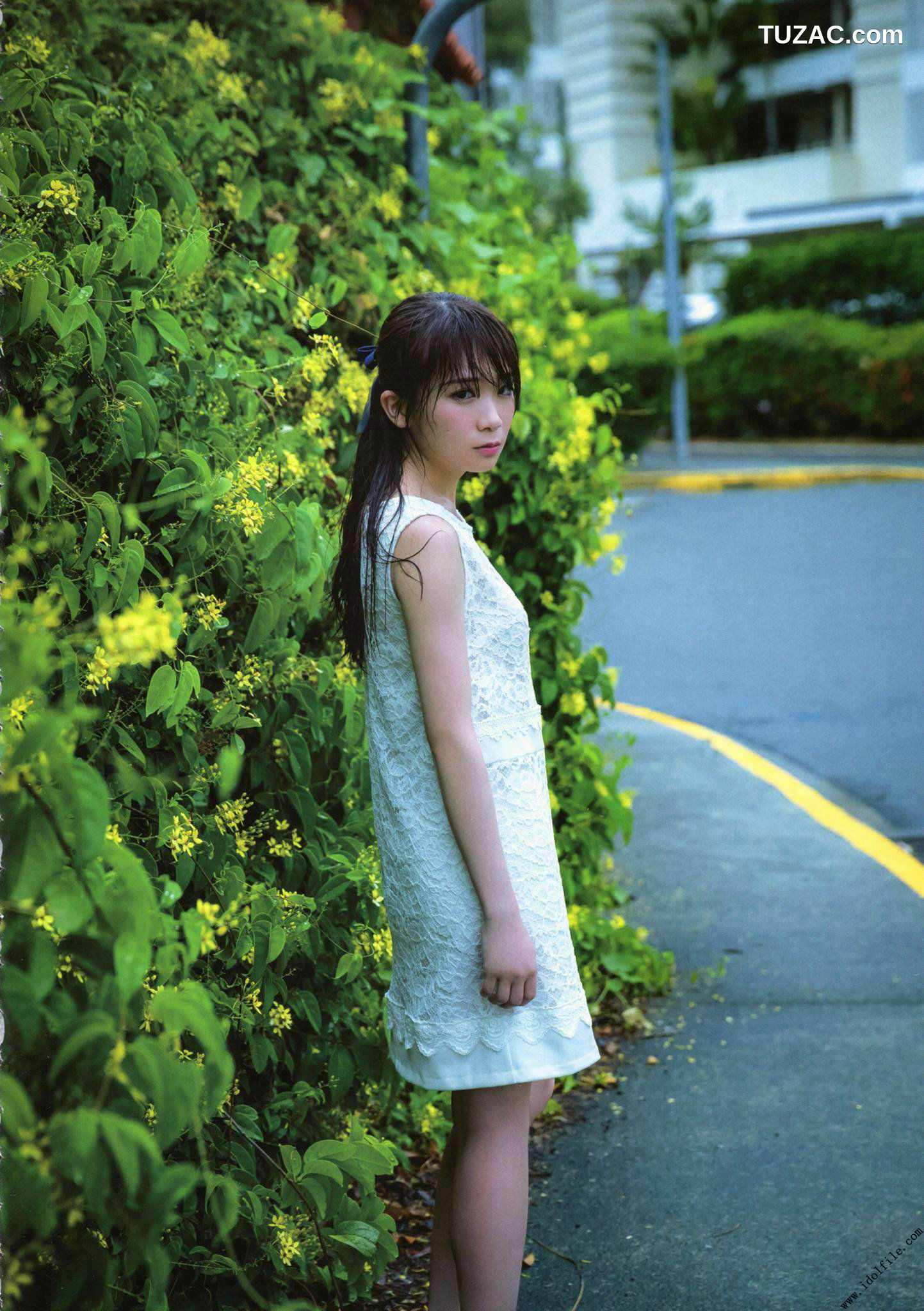 PB写真集_秋元真夏 1st《真夏の気圧配置》 写真集[145P]