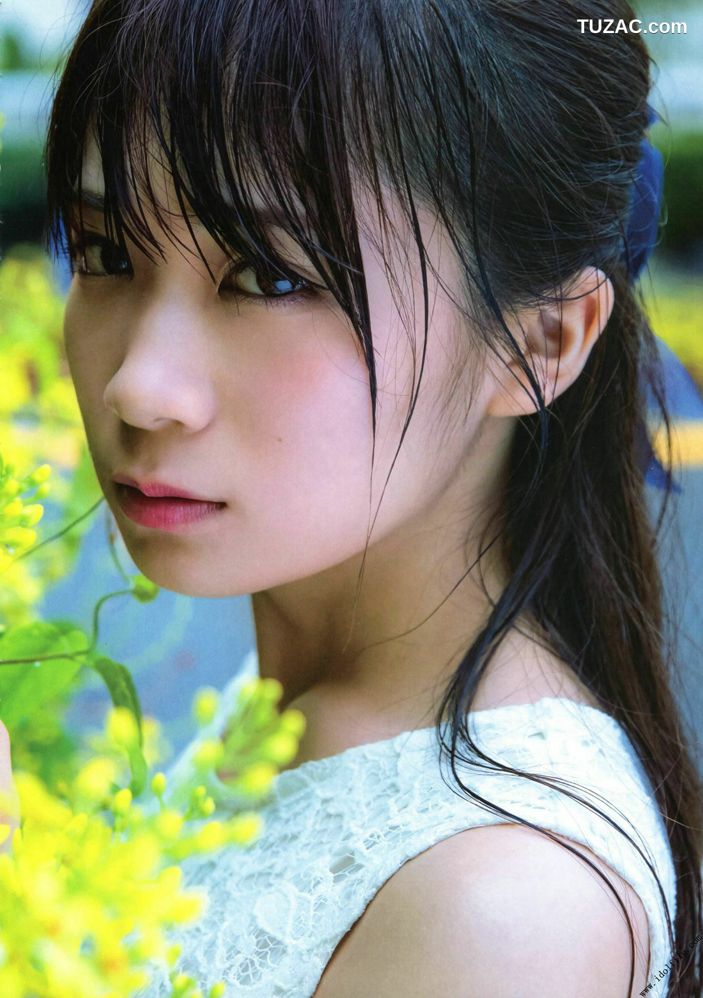 PB写真集_秋元真夏 1st《真夏の気圧配置》 写真集[145P]