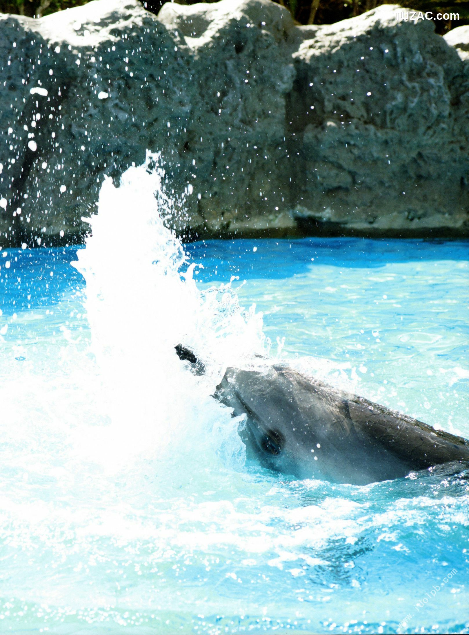 PB写真集_高山一実/高山一实 《恋かもしれない》 [119P]