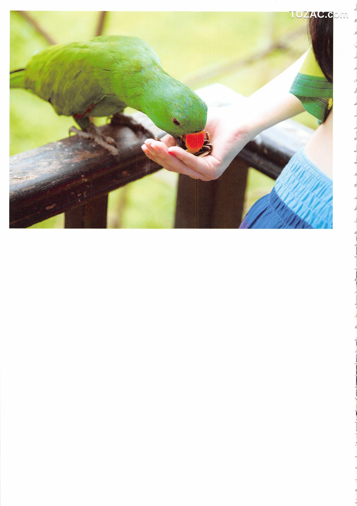 PB写真集_高柳明音《Churi》 写真集[136P]