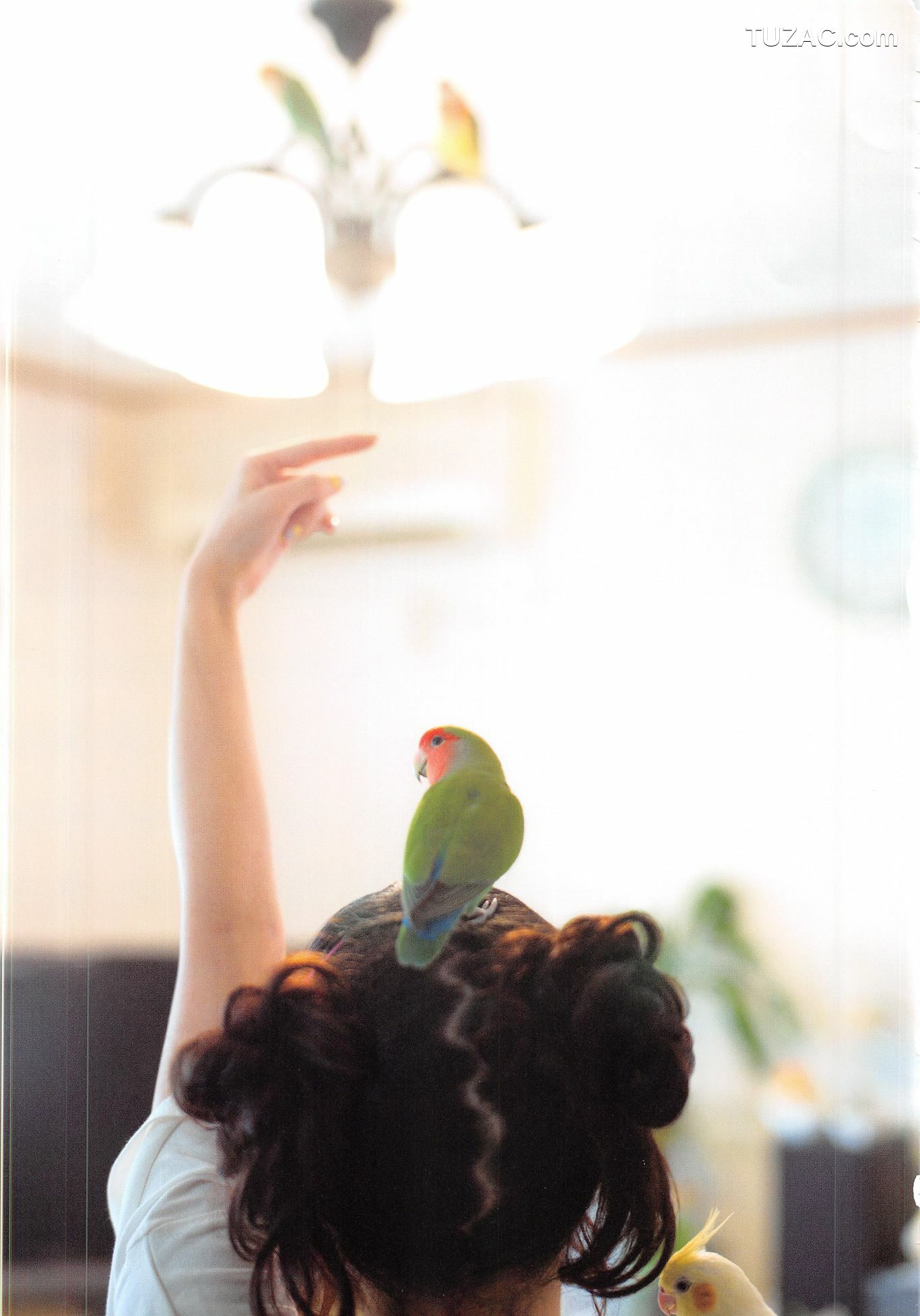 PB写真集_高柳明音《Churi》 写真集[136P]