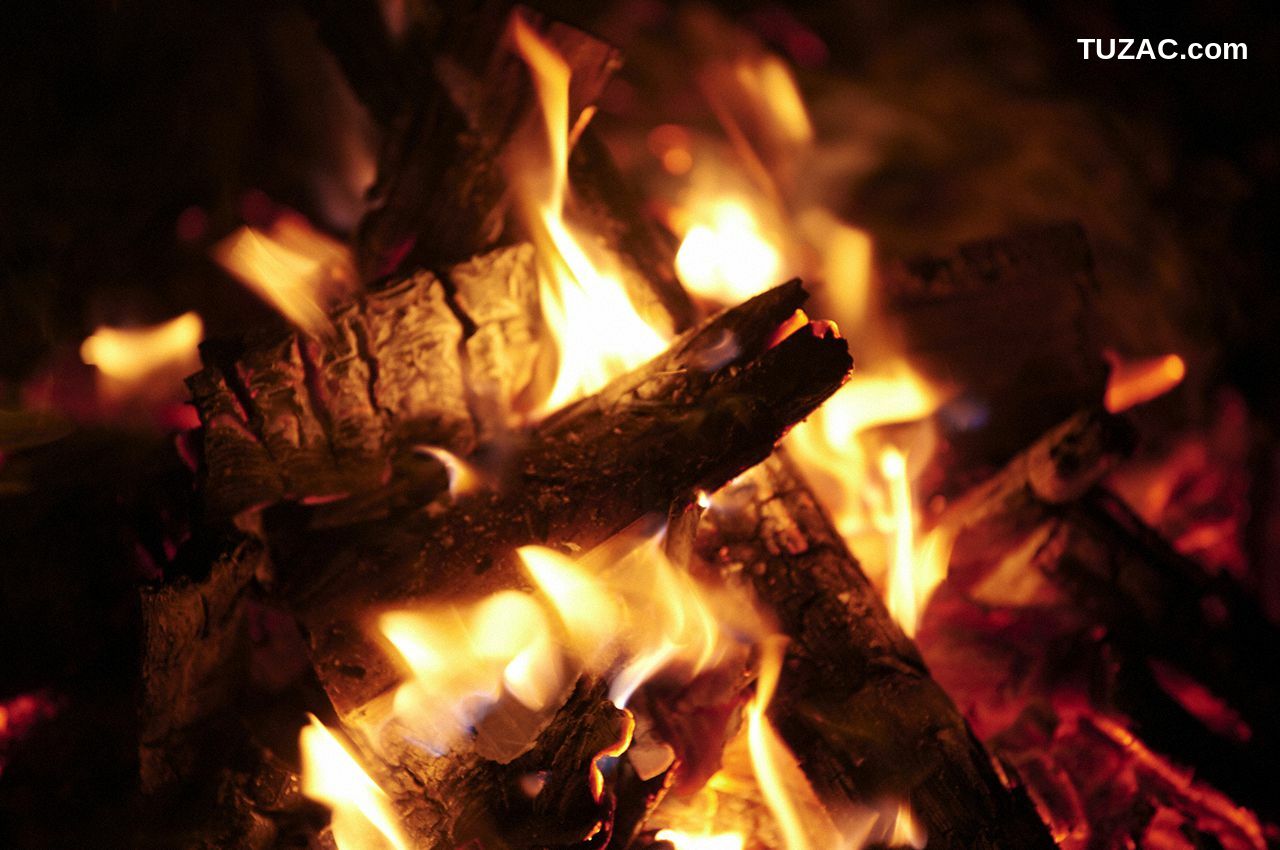 WPB写真_北向珠夕 《スペシャル「野生の証明」》 [WPB-net] No.226 写真集[161P]