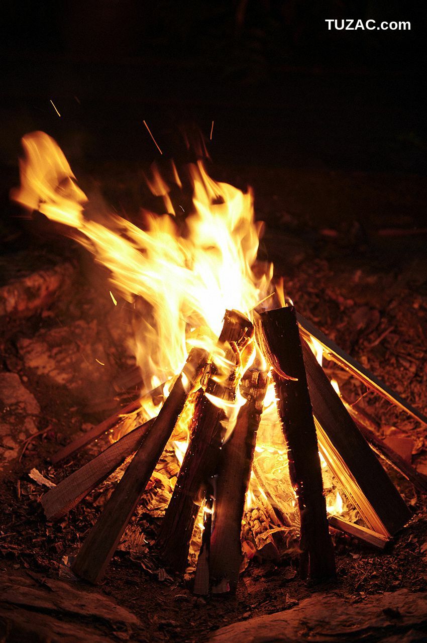 WPB写真_北向珠夕 《スペシャル「野生の証明」》 [WPB-net] No.226 写真集[161P]